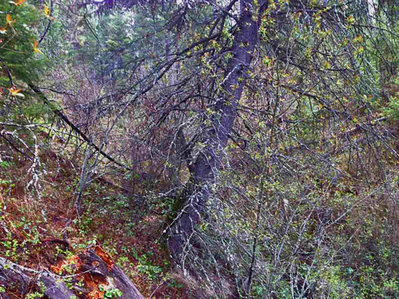 0 North Hardesty Road Colbert, WA 99005 - Photo 10 of 16