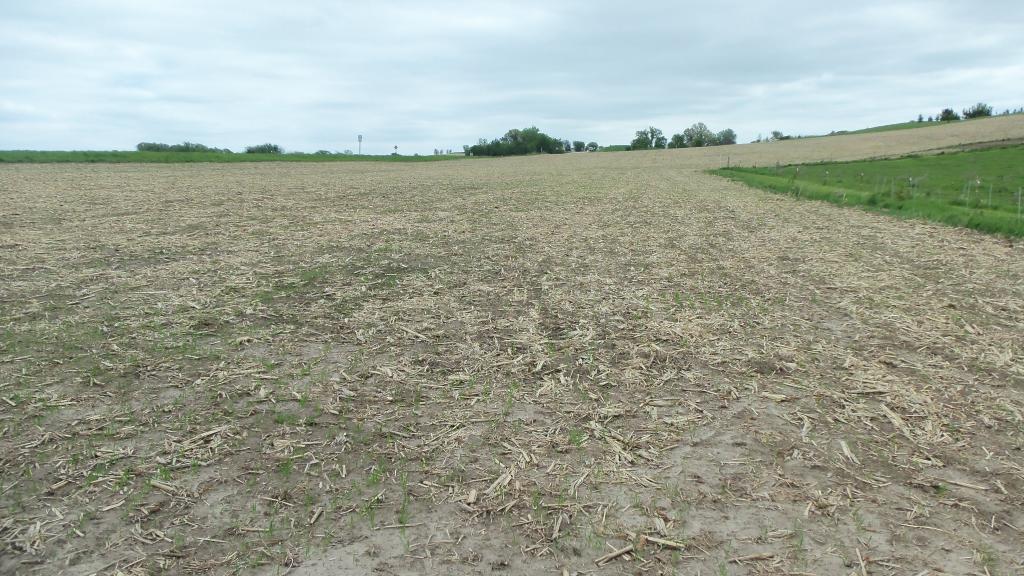 Lot 8 560th Avenue Prescott, WI 54021 - Photo 1 of 1 Gallery Image 1
