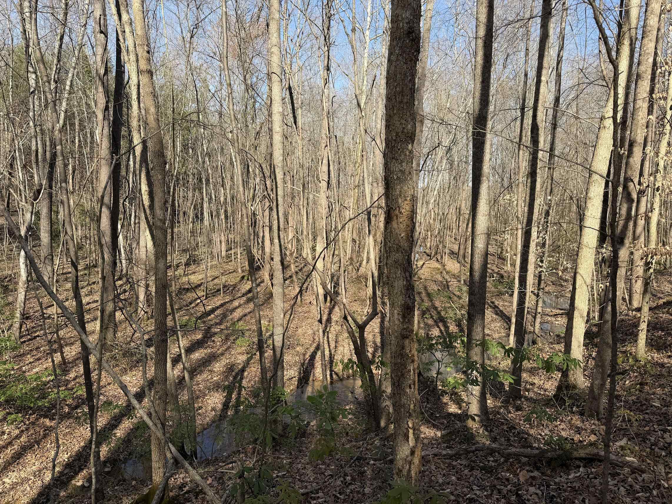 5085 Hardin Graveyard Road Enville, TN 38332 - Photo 34 of 40
