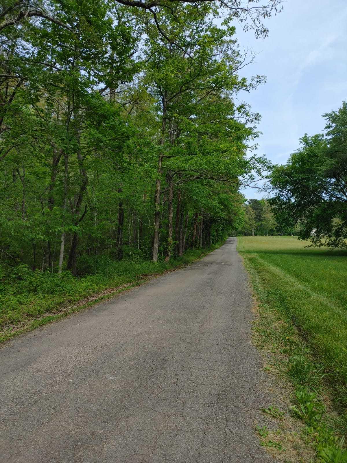 175 Massingale Road Tellico Plains, TN 37385 - Photo 12 of 27 WhatsApp Image 2021-05-27 at 9.45.53 PM