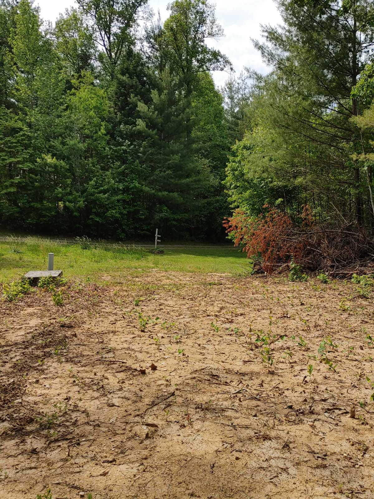 175 Massingale Road Tellico Plains, TN 37385 - Photo 13 of 27 WhatsApp Image 2021-05-27 at 9.45.54 PM