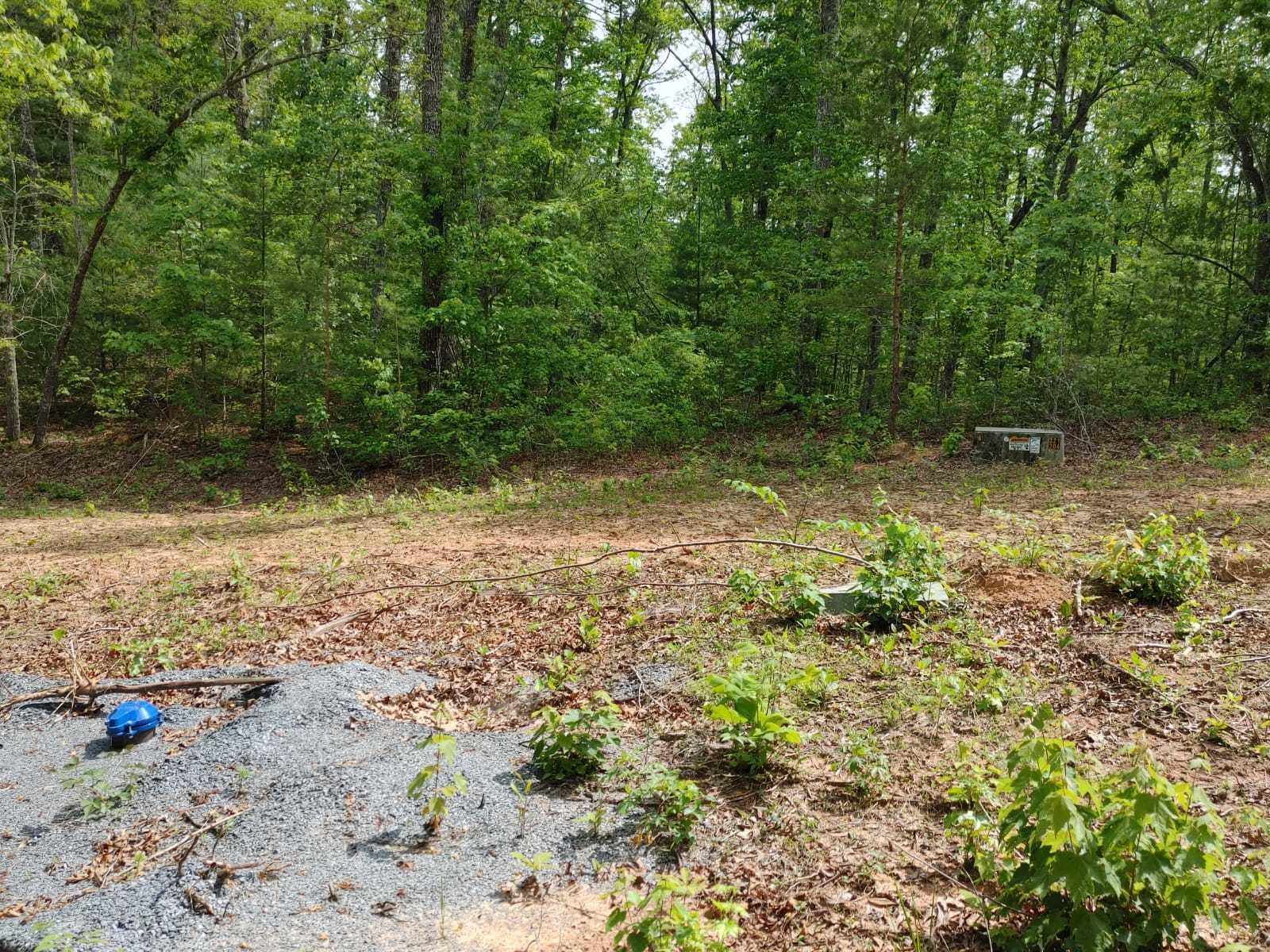 175 Massingale Road Tellico Plains, TN 37385 - Photo 15 of 27 WhatsApp Image 2021-05-27 at 9.45.54 PM