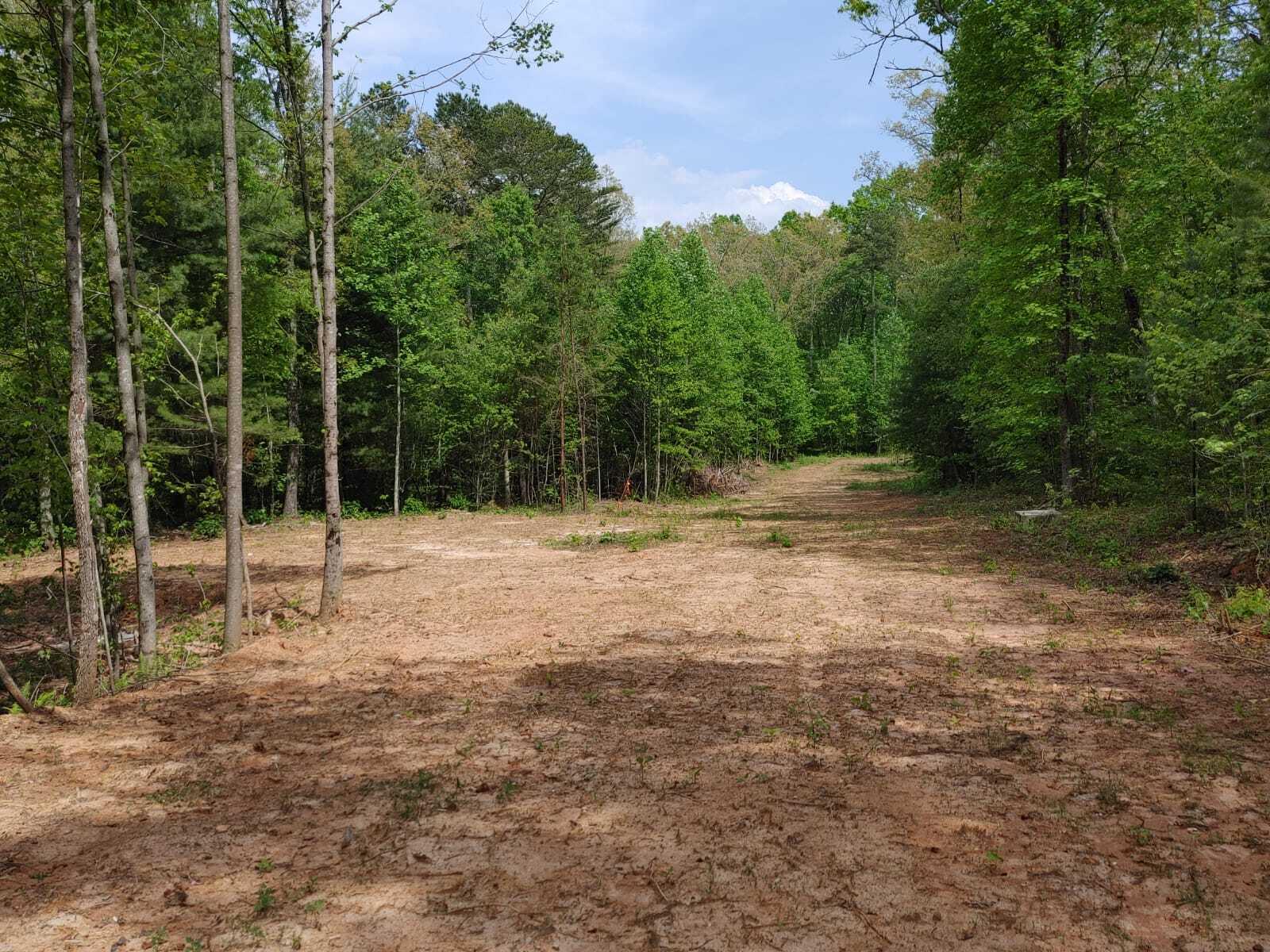 175 Massingale Road Tellico Plains, TN 37385 - Photo 17 of 27 WhatsApp Image 2021-05-27 at 9.45.54 PM