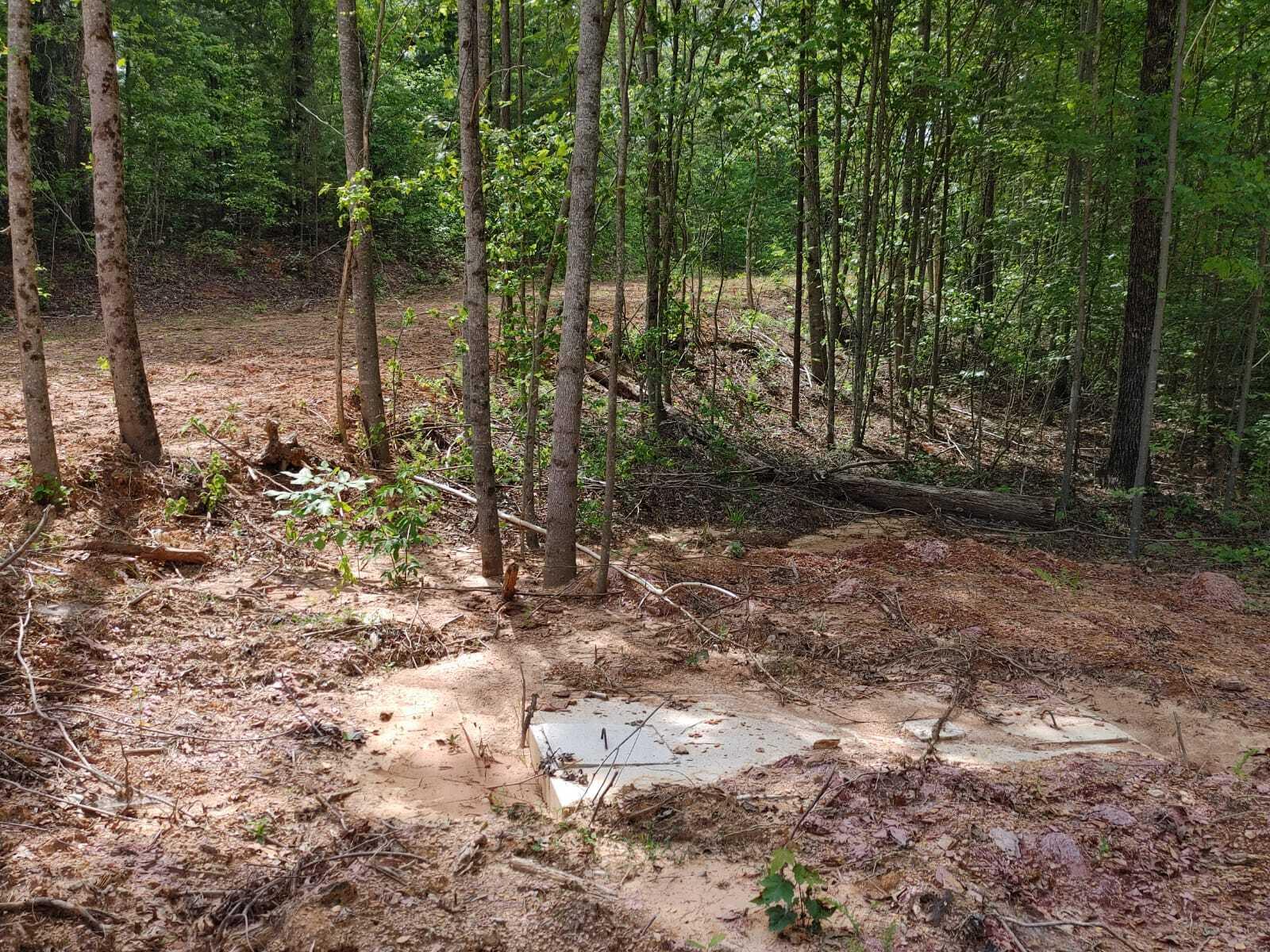 175 Massingale Road Tellico Plains, TN 37385 - Photo 18 of 27 WhatsApp Image 2021-05-27 at 9.45.54 PM