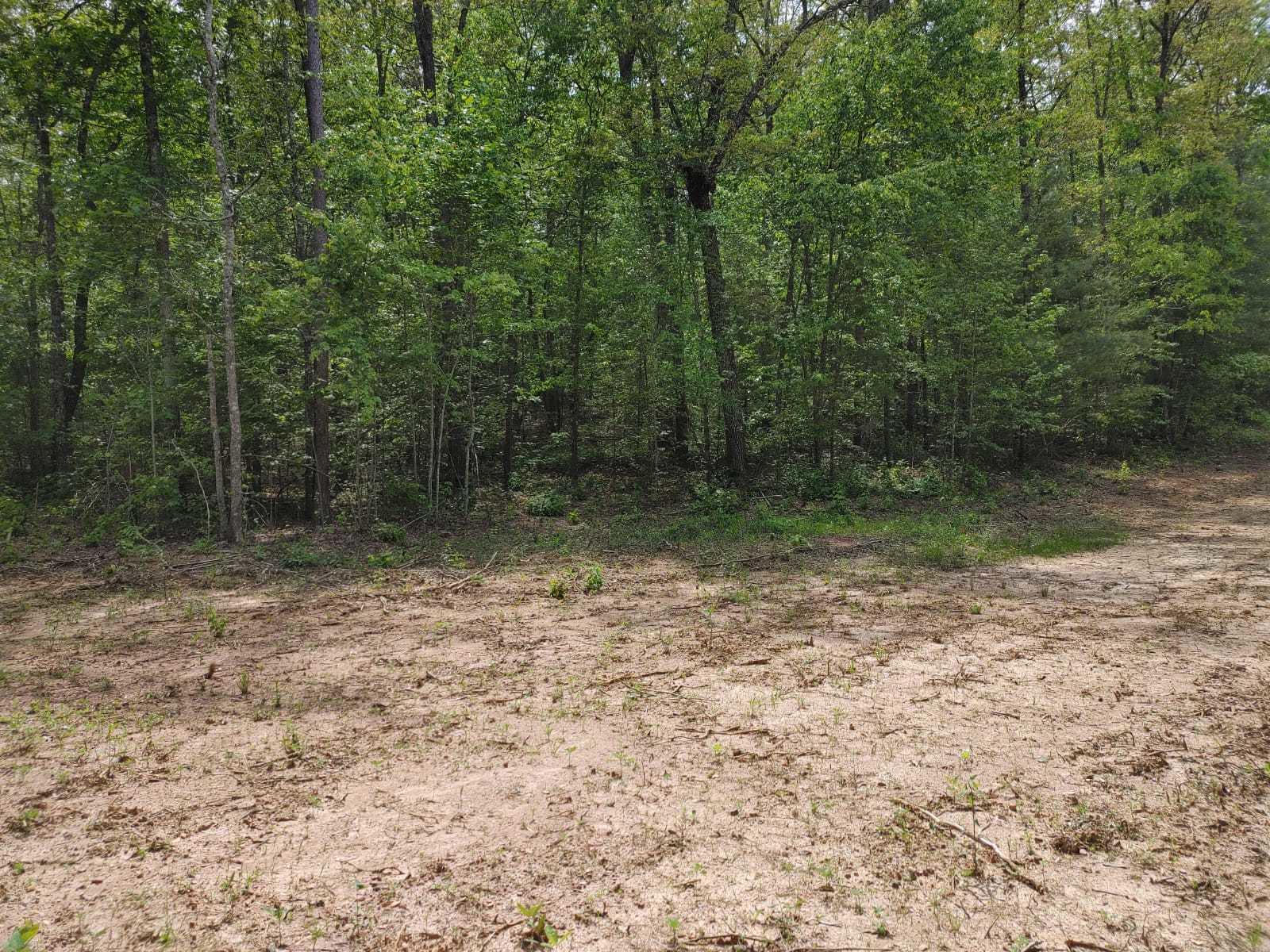 175 Massingale Road Tellico Plains, TN 37385 - Photo 19 of 27 WhatsApp Image 2021-05-27 at 9.45.54 PM