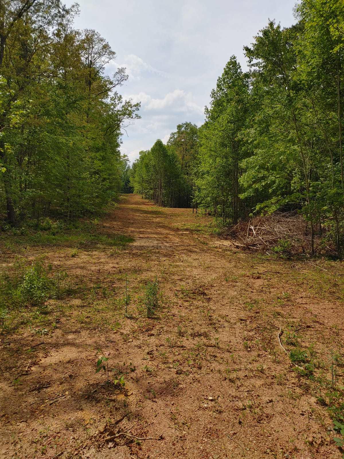 175 Massingale Road Tellico Plains, TN 37385 - Photo 20 of 27 WhatsApp Image 2021-05-27 at 9.45.54 PM