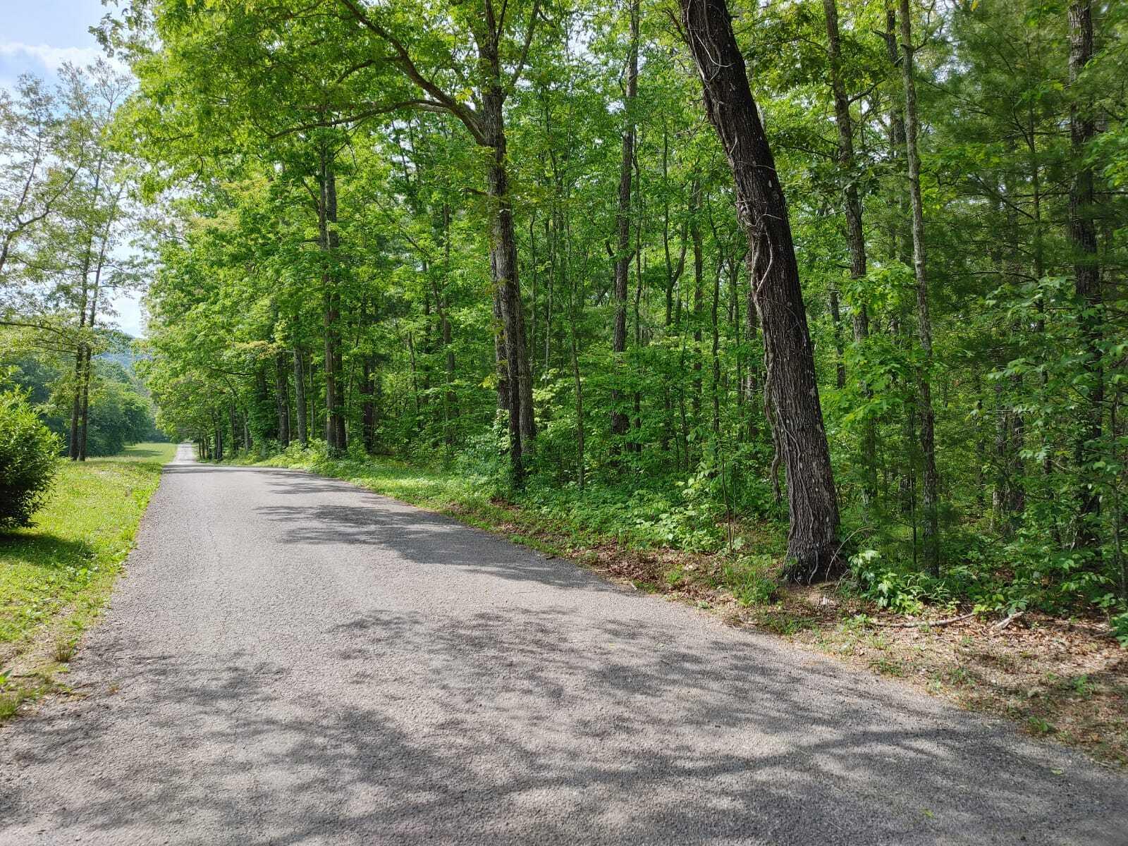 175 Massingale Road Tellico Plains, TN 37385 - Photo 21 of 27 WhatsApp Image 2021-05-27 at 9.45.54 PM