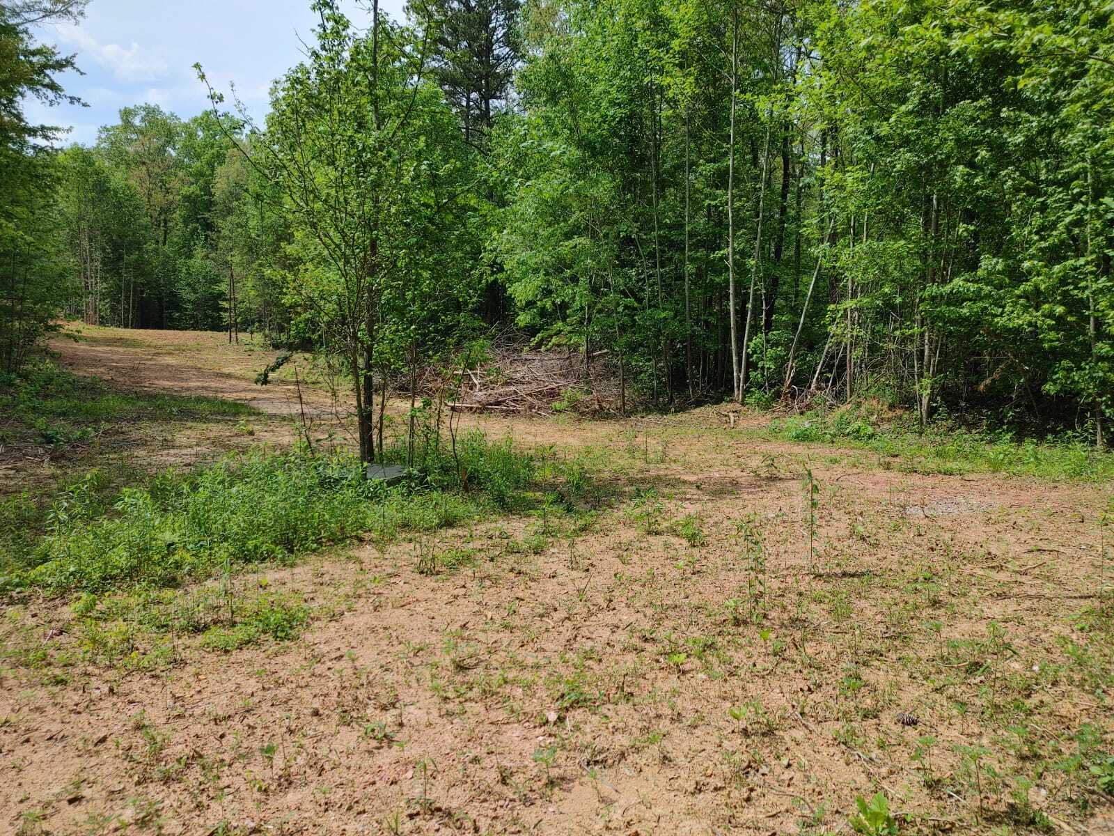 175 Massingale Road Tellico Plains, TN 37385 - Photo 22 of 27 WhatsApp Image 2021-05-27 at 9.45.54 PM