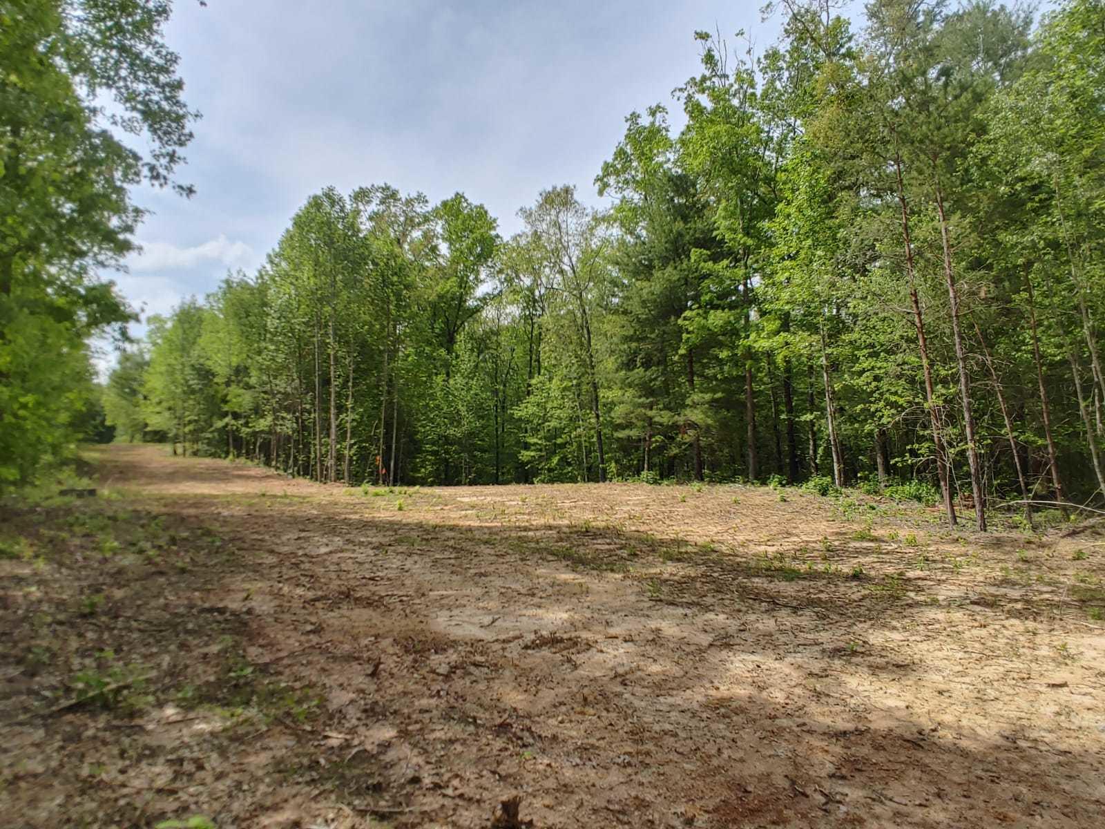 175 Massingale Road Tellico Plains, TN 37385 - Photo 23 of 27 WhatsApp Image 2021-05-27 at 9.45.54 PM
