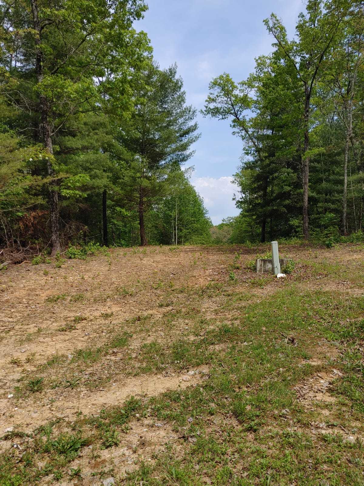 175 Massingale Road Tellico Plains, TN 37385 - Photo 24 of 27 WhatsApp Image 2021-05-27 at 9.45.54 PM