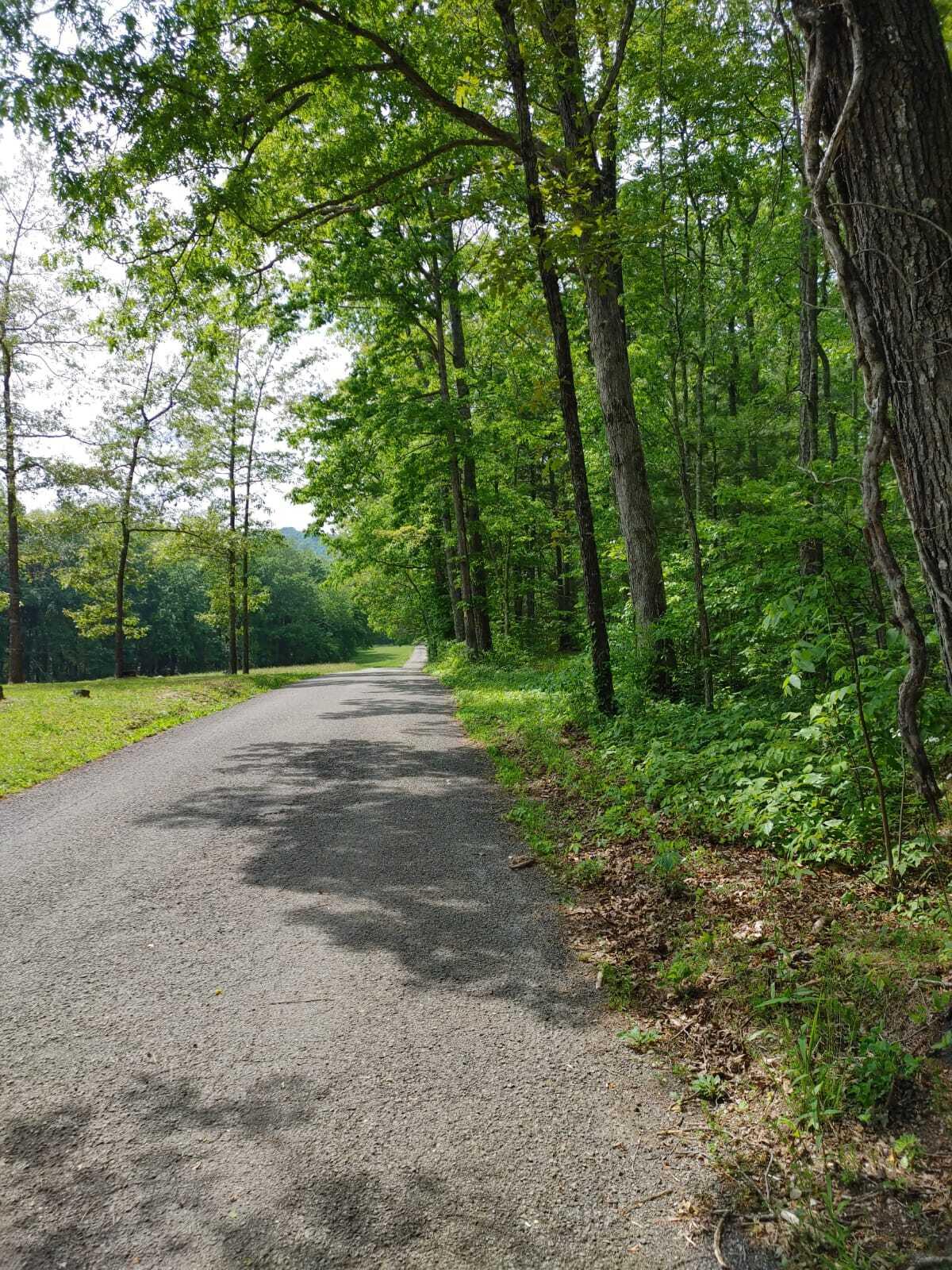 175 Massingale Road Tellico Plains, TN 37385 - Photo 25 of 27 WhatsApp Image 2021-05-27 at 9.45.55 PM