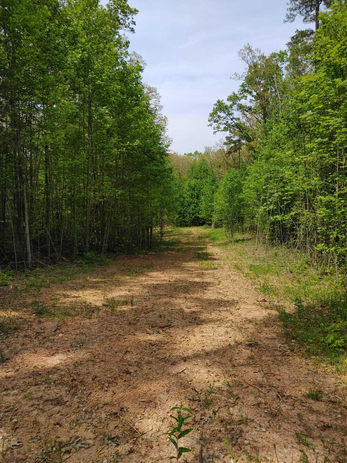 175 Massingale Road Tellico Plains, TN 37385 - Photo 26 of 27 WhatsApp Image 2021-05-27 at 9.45.55 PM