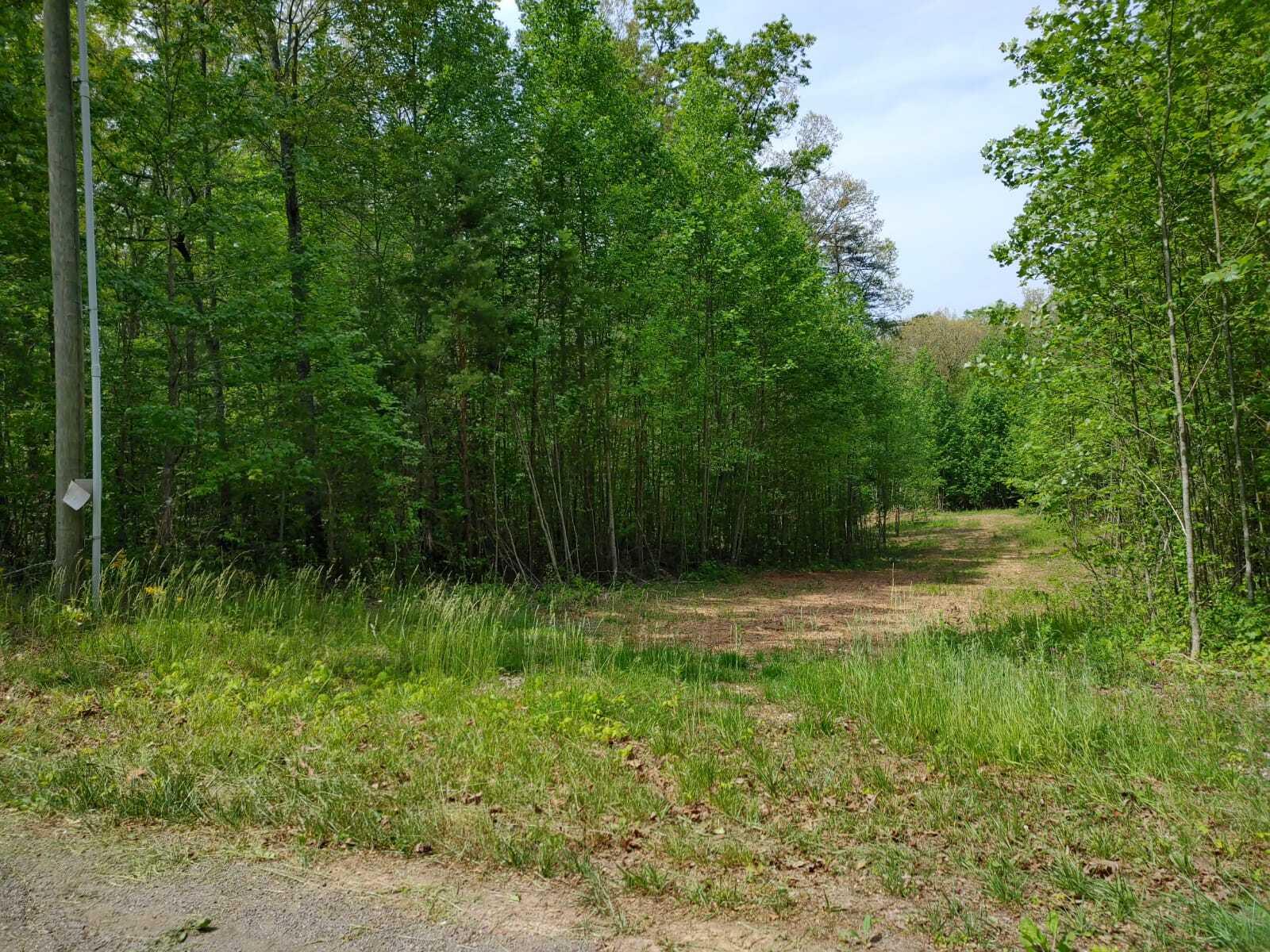 175 Massingale Road Tellico Plains, TN 37385 - Photo 27 of 27 WhatsApp Image 2021-05-27 at 9.45.55 PM