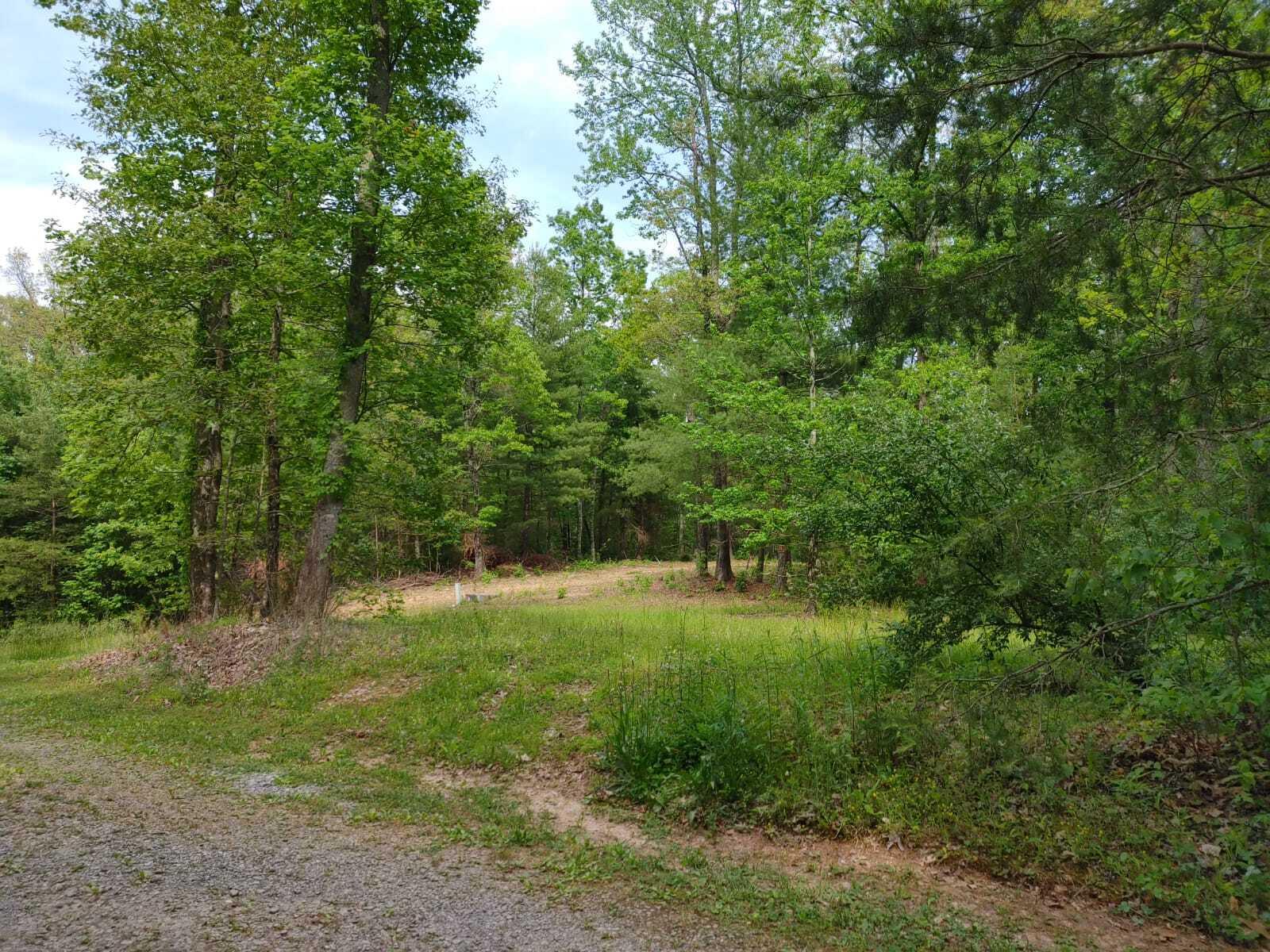 175 Massingale Road Tellico Plains, TN 37385 - Photo 8 of 27 WhatsApp Image 2021-05-27 at 9.45.53 PM
