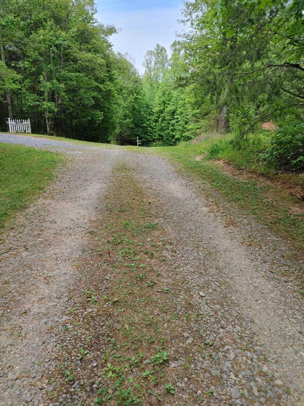 175 Massingale Road Tellico Plains, TN 37385 - Photo 9 of 27 WhatsApp Image 2021-05-27 at 9.45.53 PM