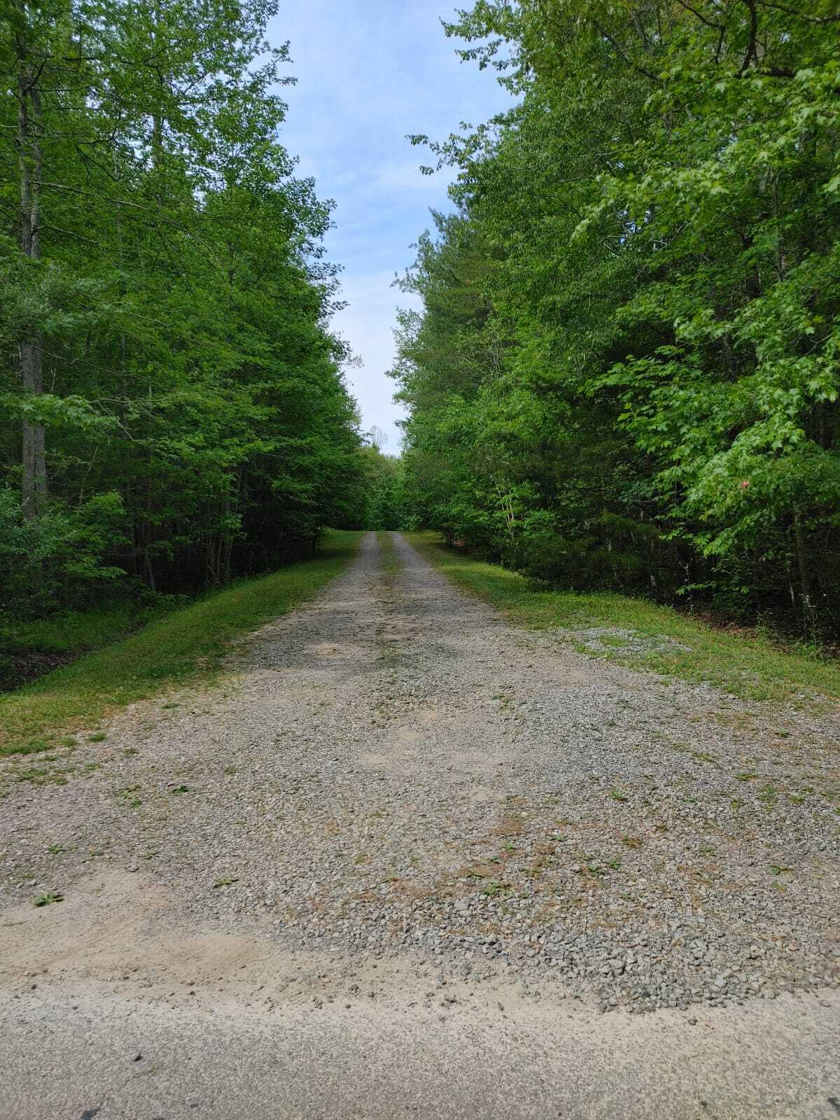 175 Massingale Road Tellico Plains, TN 37385 - Photo 10 of 27 WhatsApp Image 2021-05-27 at 9.45.53 PM