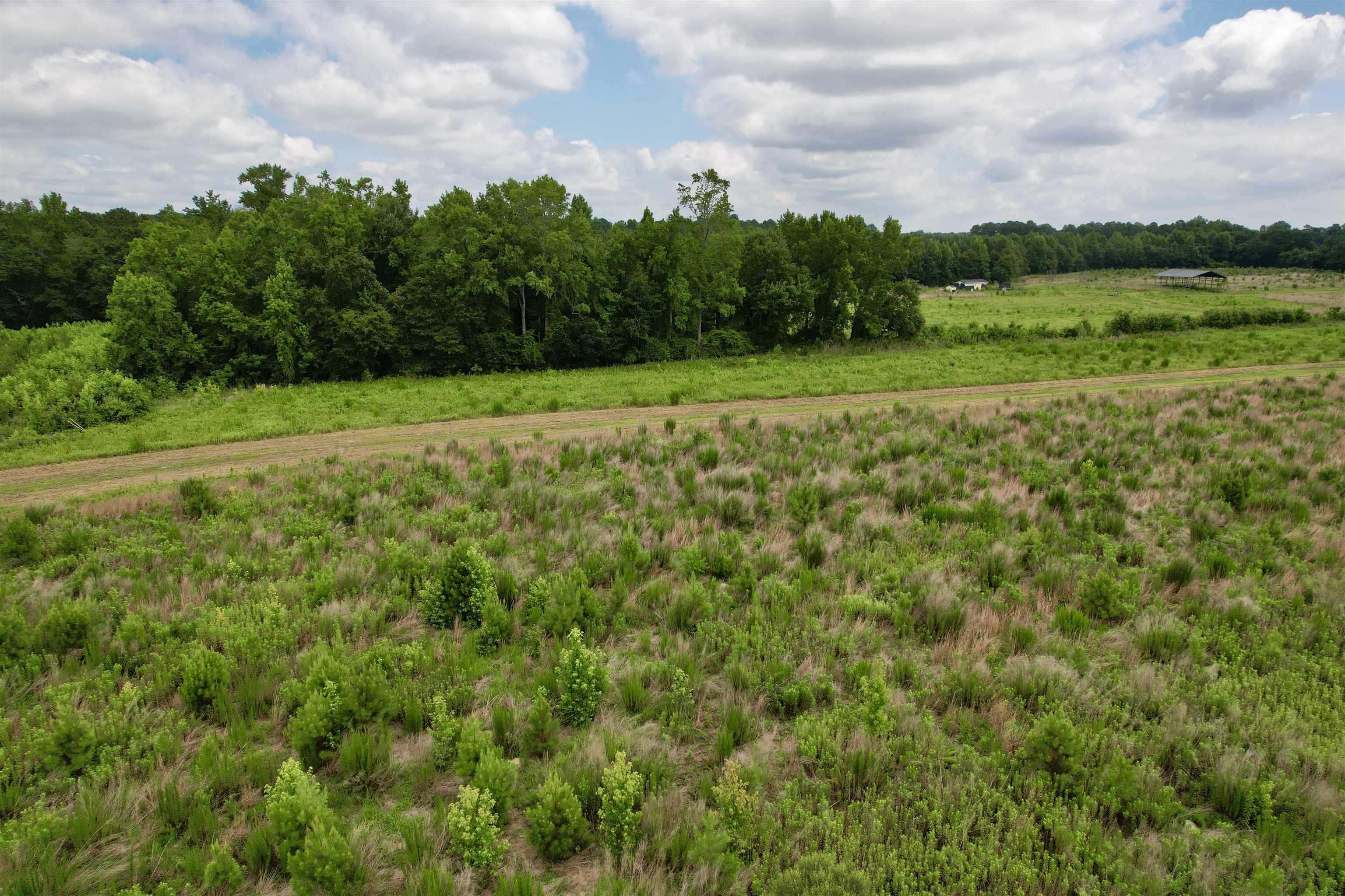 0 Powell Rd Green Green Sea, SC 29545 - Photo 53 of 72