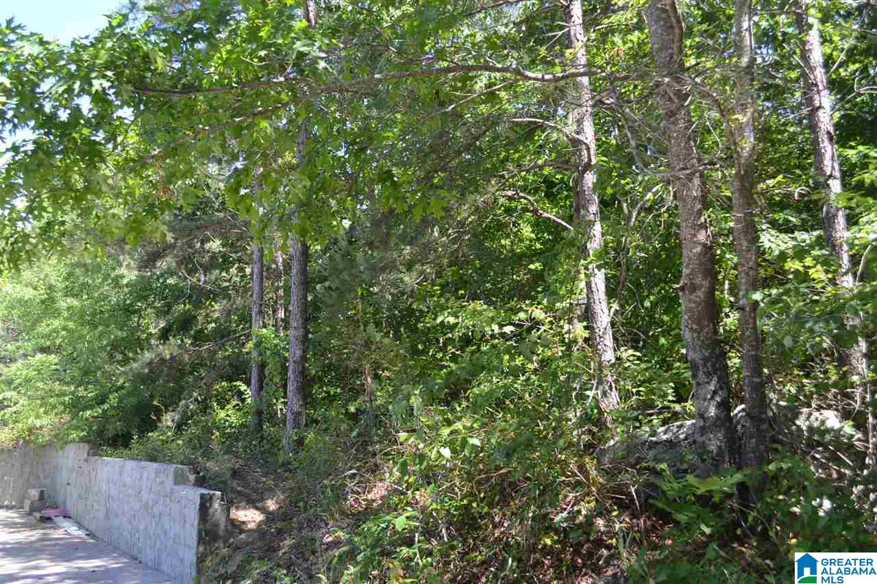 300 Williamsburg Road Altoona, AL 35952 - Photo 35 of 38