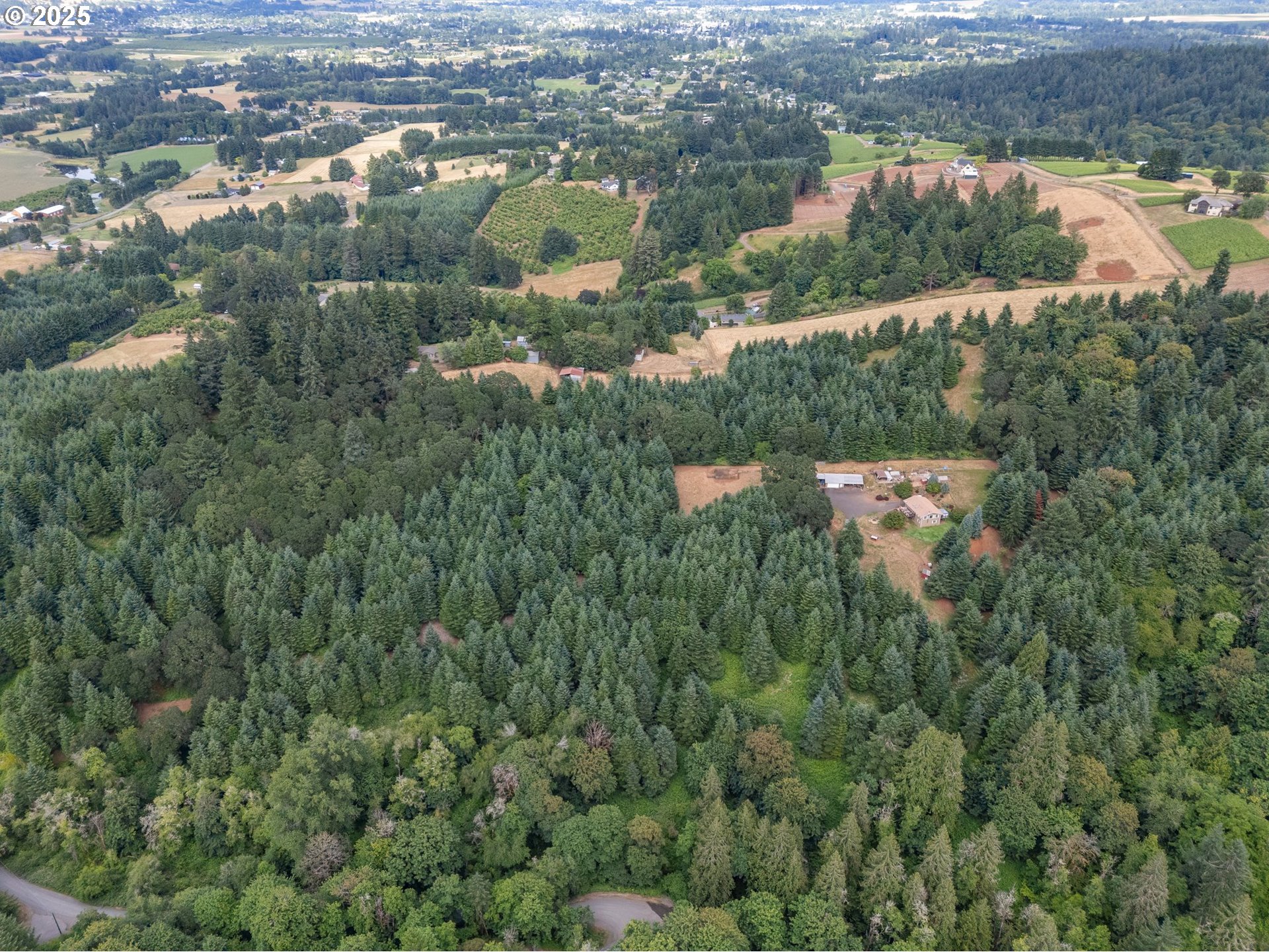 19791 Northeast Sunnycrest Road Newberg, OR 97132 - Photo 38 of 40 an aerial view of residential houses with outdoor space and trees