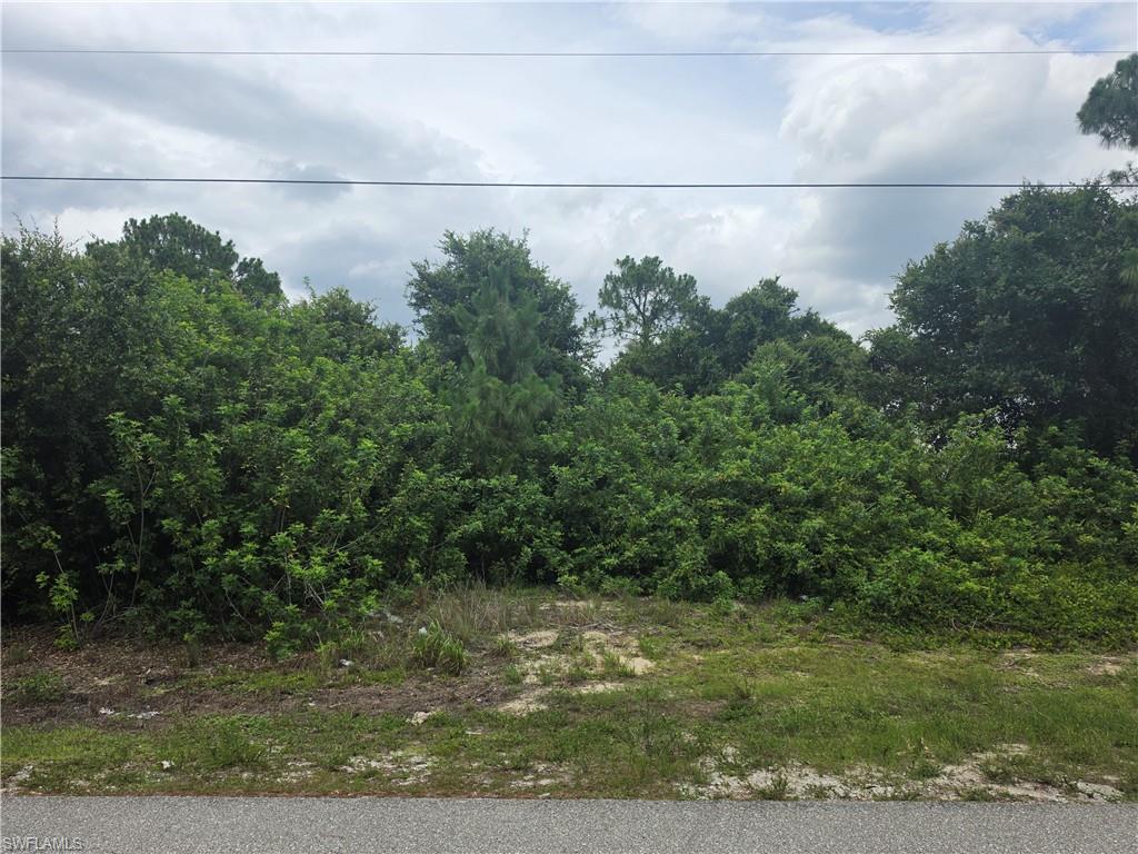 3416 35th Street Southwest Lehigh Acres, FL 33976 - Photo 5 of 7