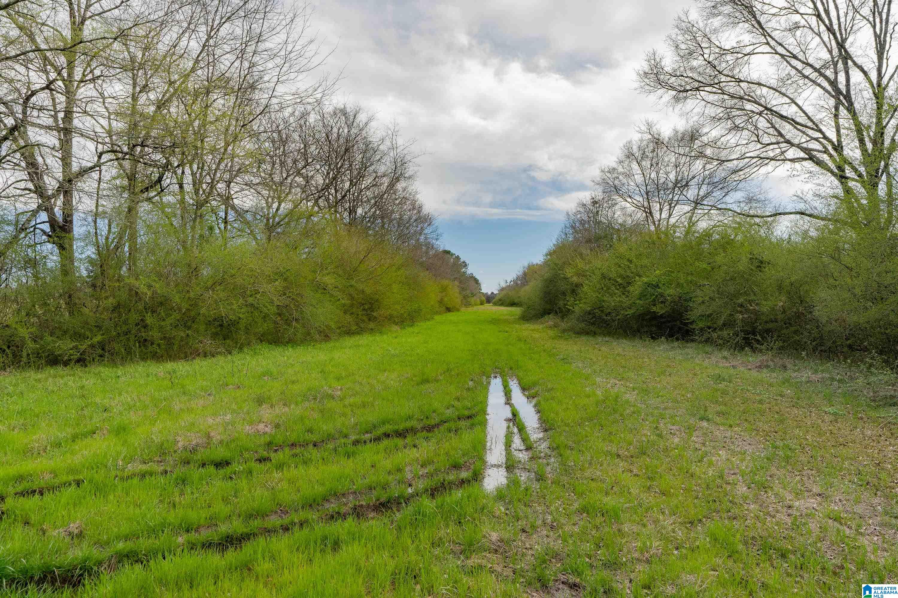 Bates Road, Unit 100 Vincent, AL 35178 - Photo 29 of 29