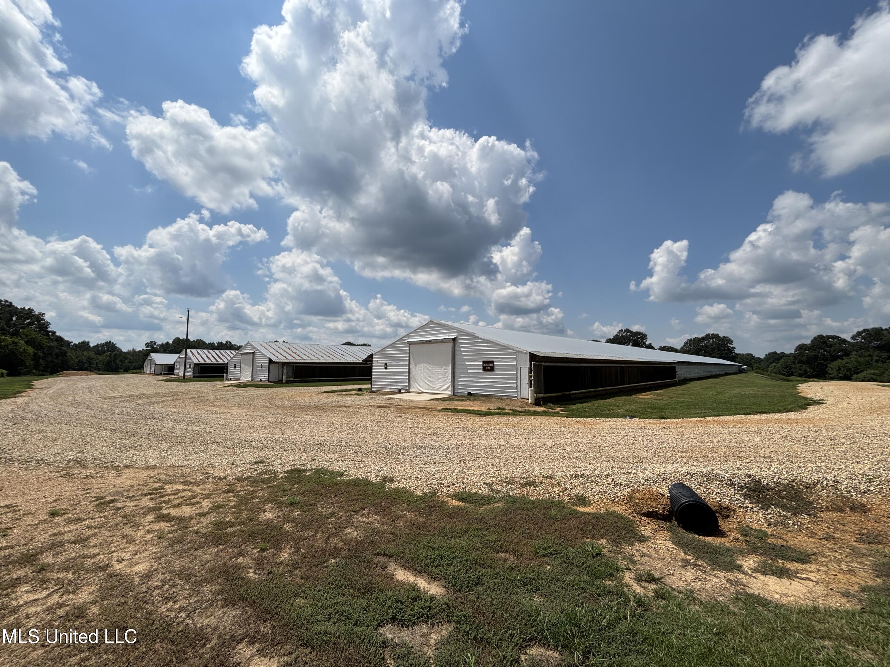 454 Highway 586 Kokomo, MS 39643 - Photo 4 of 66 IMG_2778