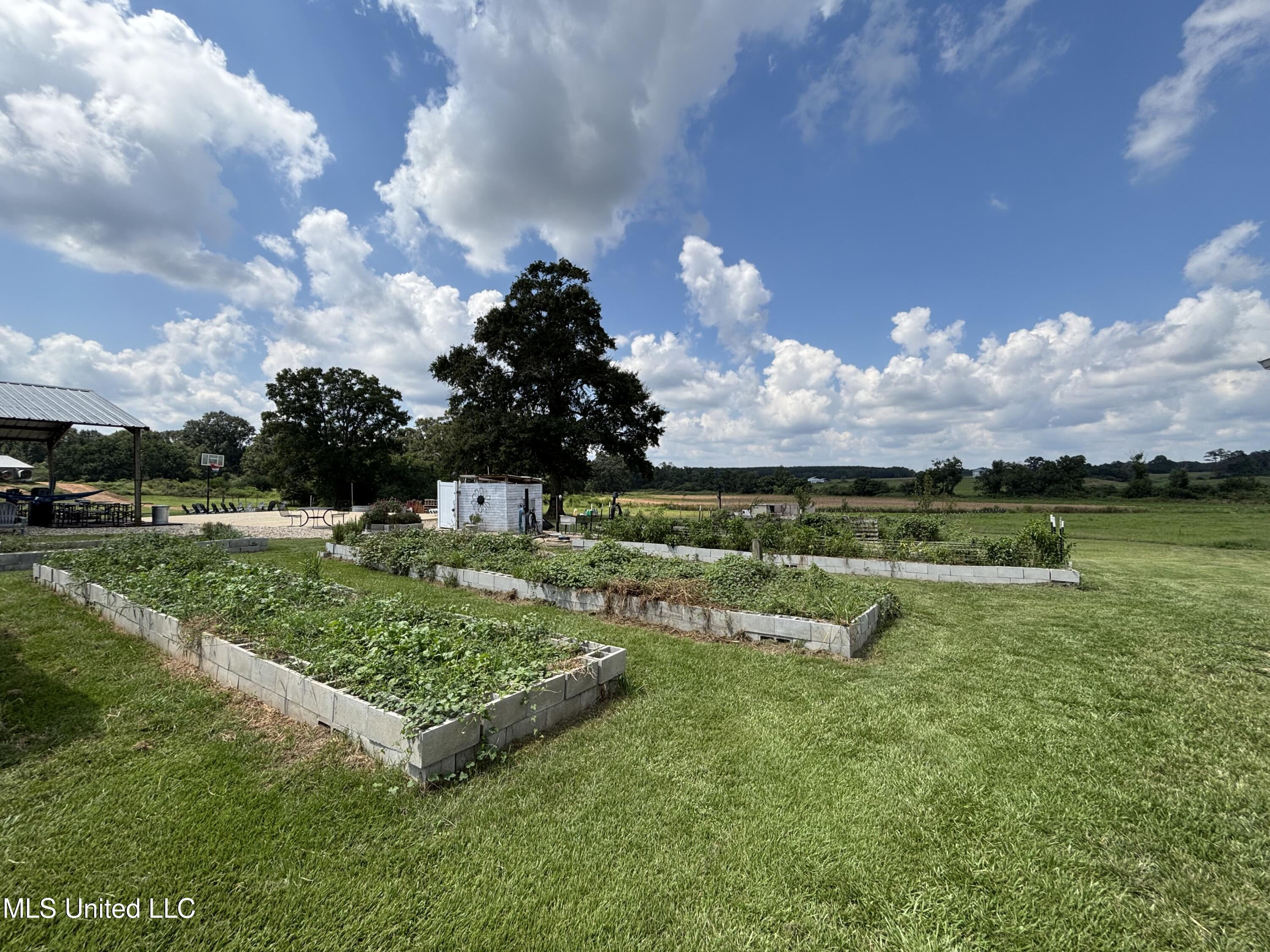 454 Highway 586 Kokomo, MS 39643 - Photo 57 of 66 IMG_2759