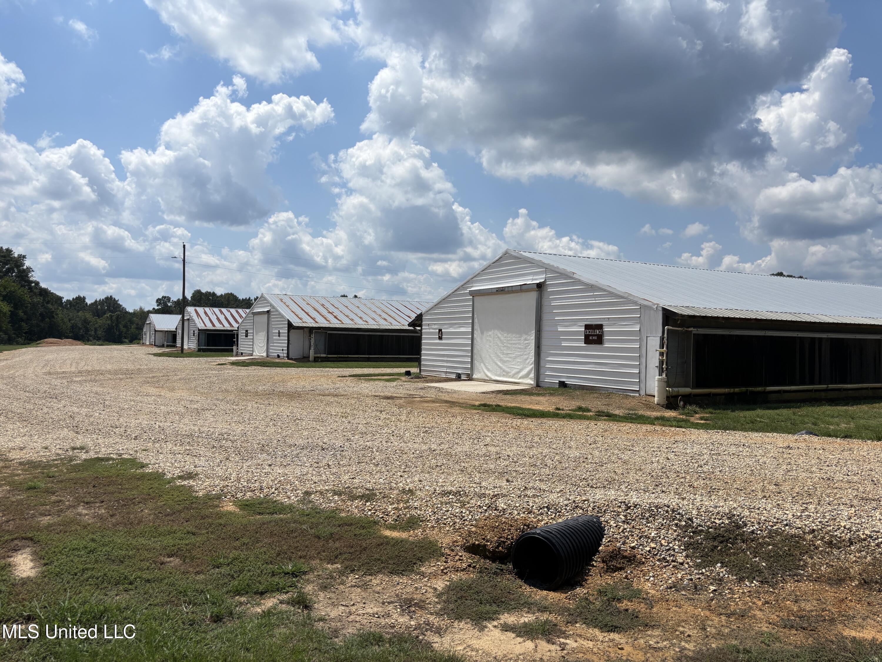 454 Highway 586 Kokomo, MS 39643 - Photo 8 of 66 IMG_2776