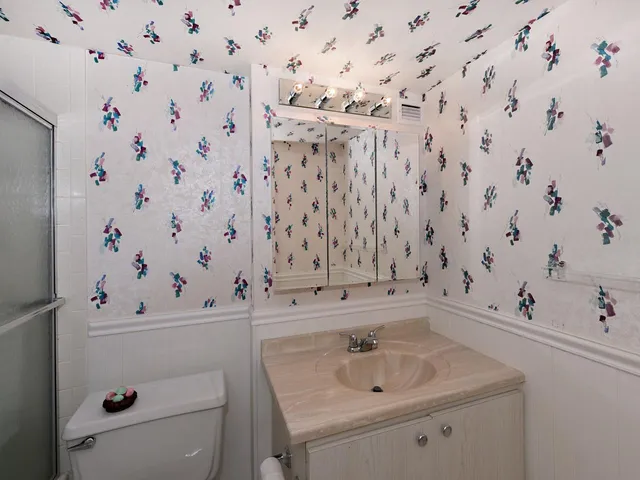 a bathroom with a sink toilet and vanity