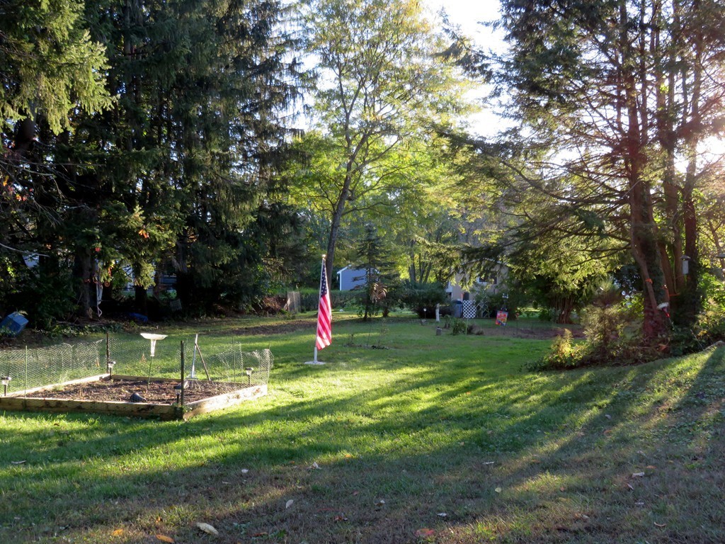 117 Turnpike Road Chelmsford, MA 01824 - Photo 3 of 20 Gallery Image 3