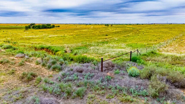 a view of an ocean from a yard