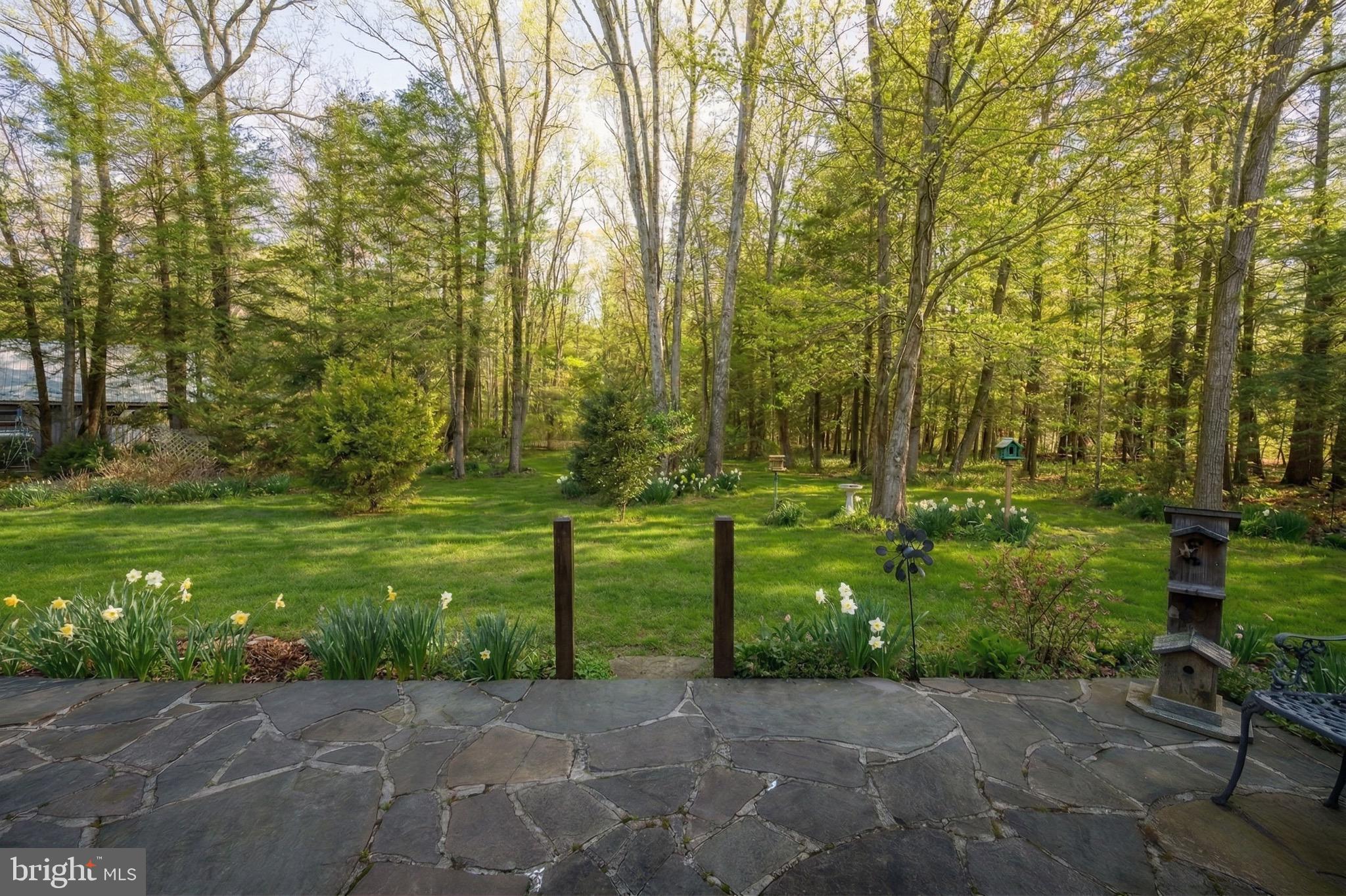 15443 Bittinger Road Grantsville, MD 21536 - Photo 74 of 84