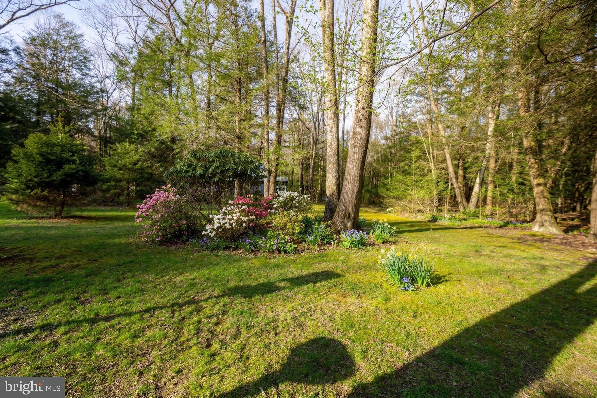 15443 Bittinger Road Grantsville, MD 21536 - Photo 79 of 84