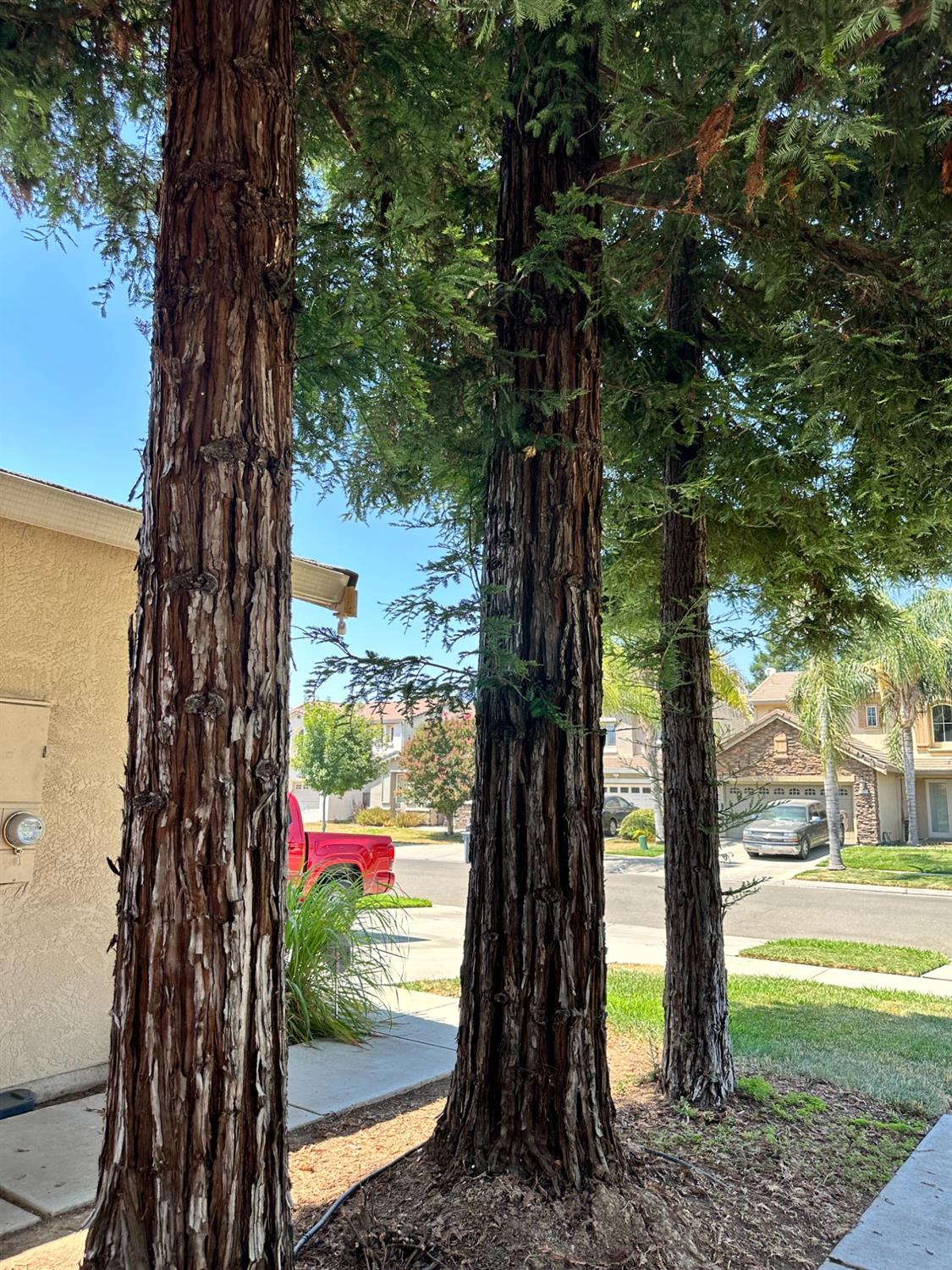 1348 Esplanade Drive Merced, CA 95348 - Photo 40 of 44