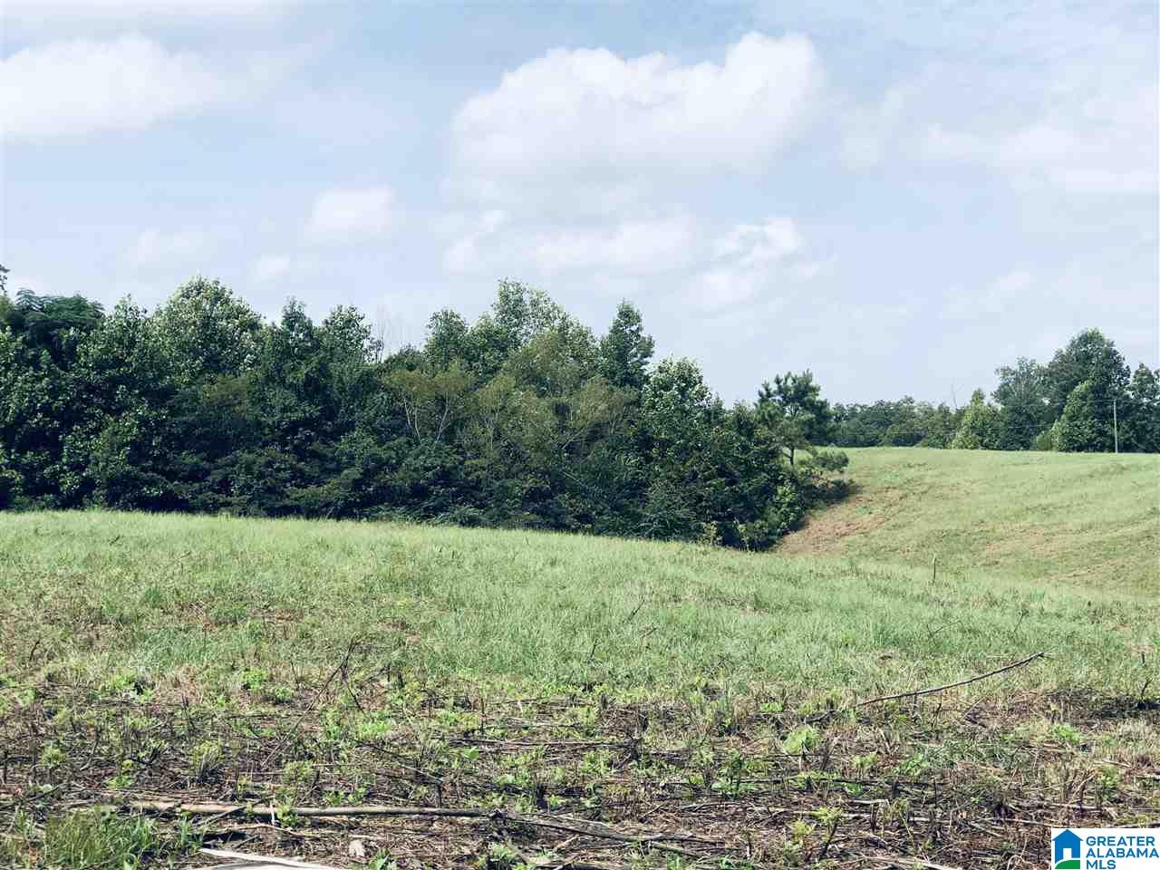 0 Rose Lane, Unit 1 2 Montevallo, AL 35115 - Photo 5 of 14