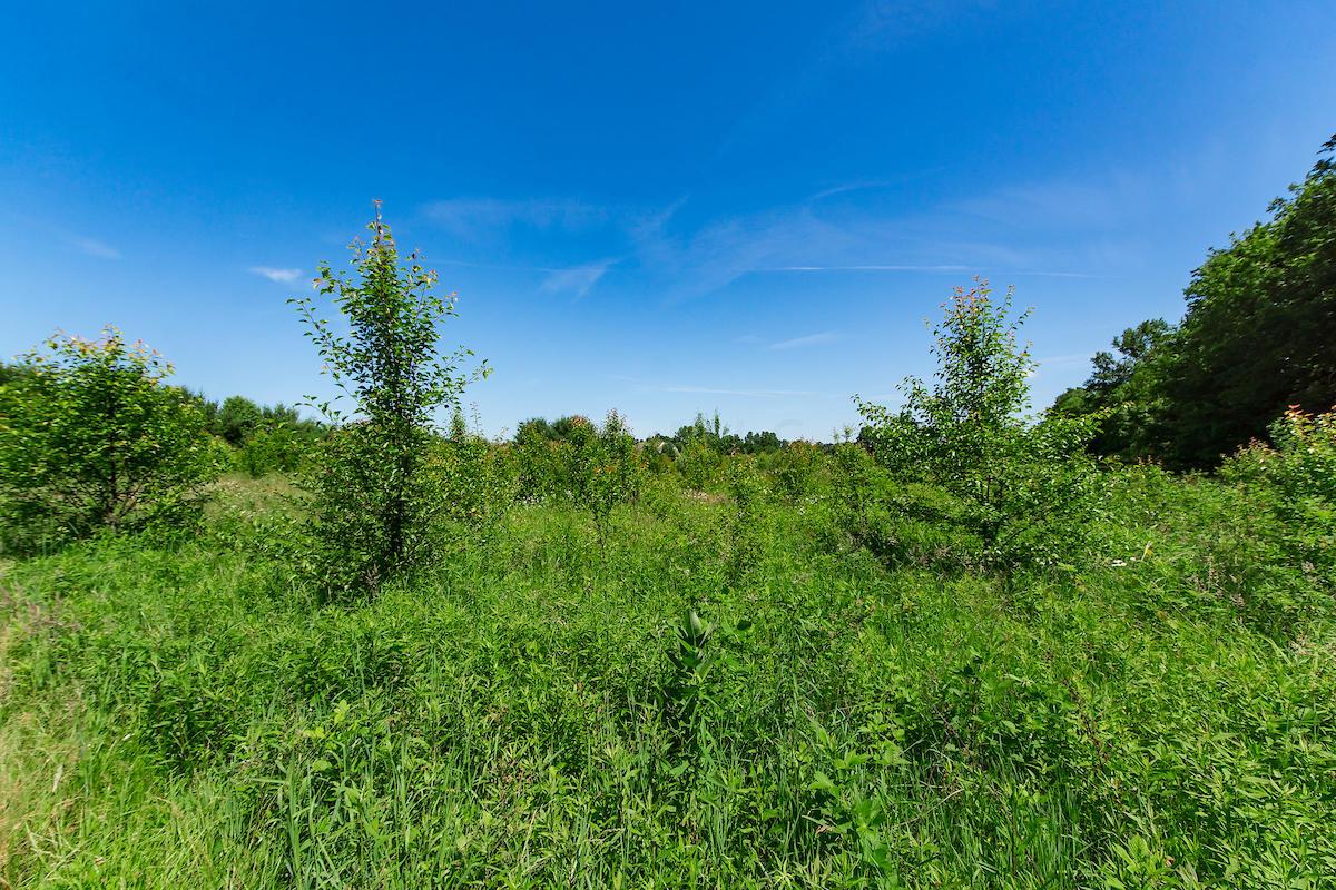 11665 Center Village Road Galena, OH 43021 - Photo 55 of 59 Gallery Image 55