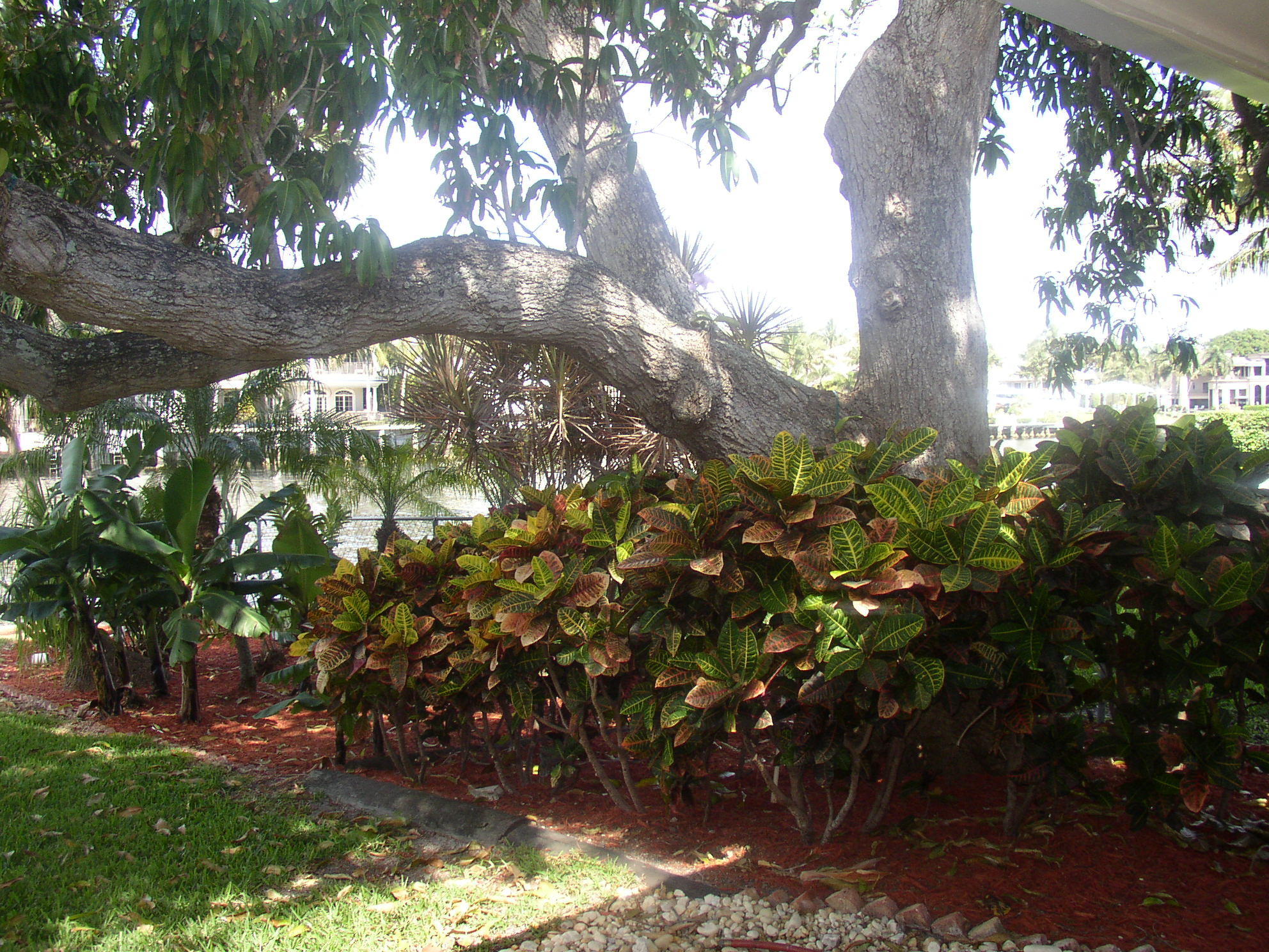 2795 Spanish River Road Boca Raton, FL 33432 - Photo 17 of 22 P1010011