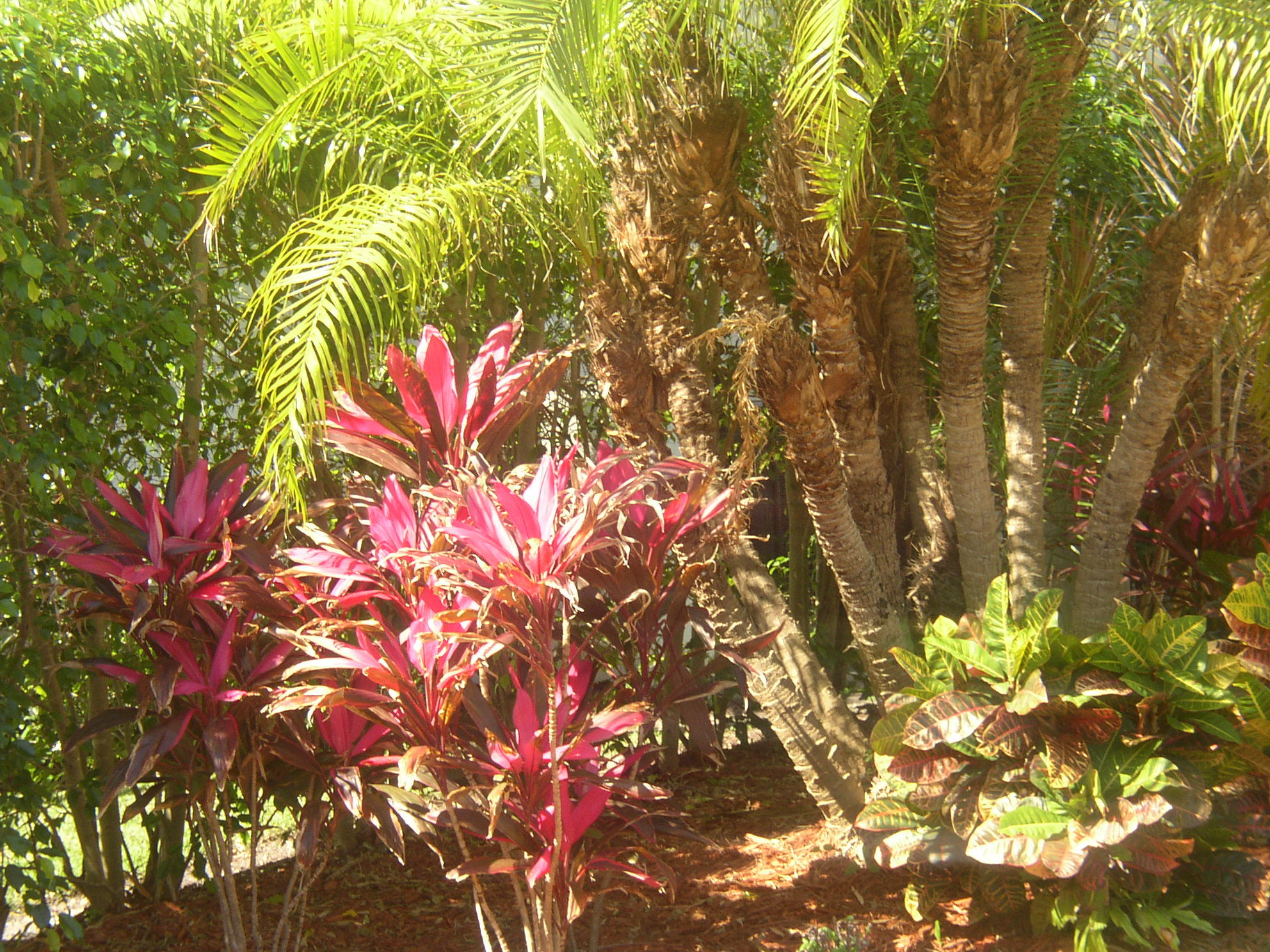 2795 Spanish River Road Boca Raton, FL 33432 - Photo 21 of 22 P1010015