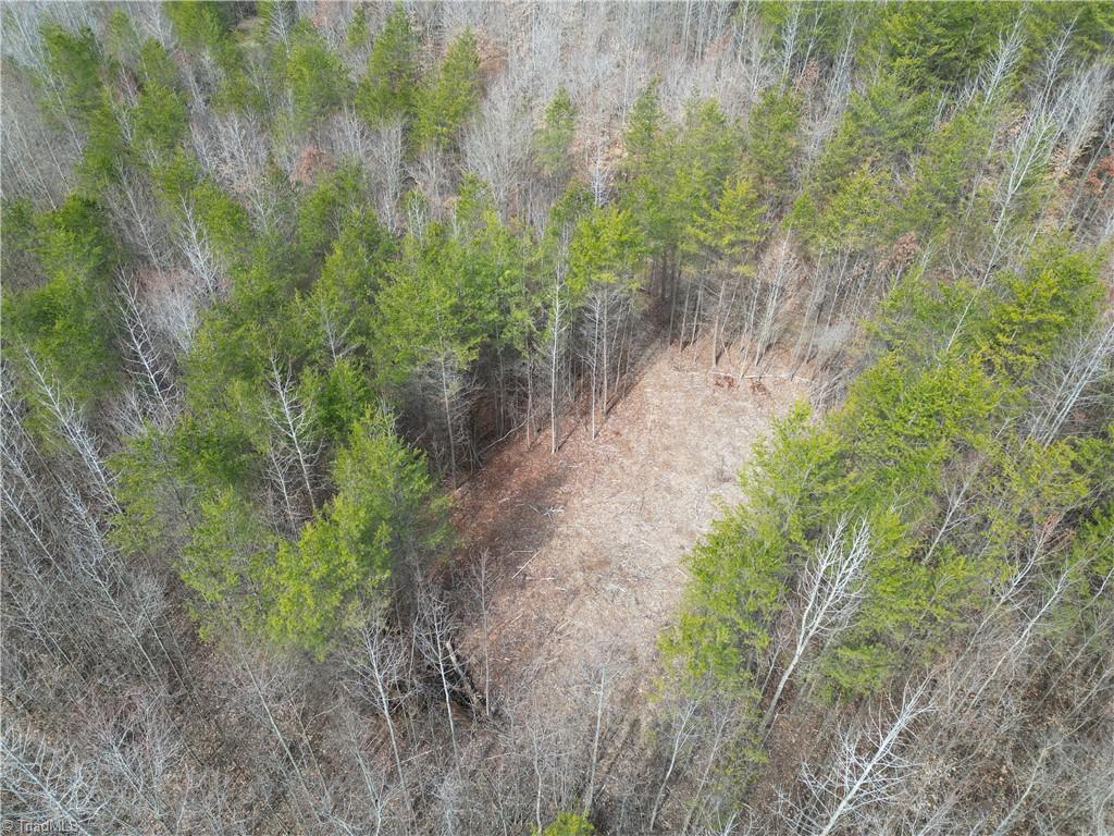 1200 Purcell Road Reidsville, NC 27320 - Photo 23 of 50