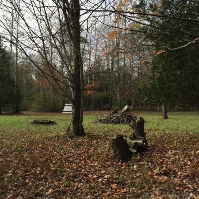 Vl East Snover Road Port Sanilac, MI 48469 - Photo 2 of 10 Gallery Image 2