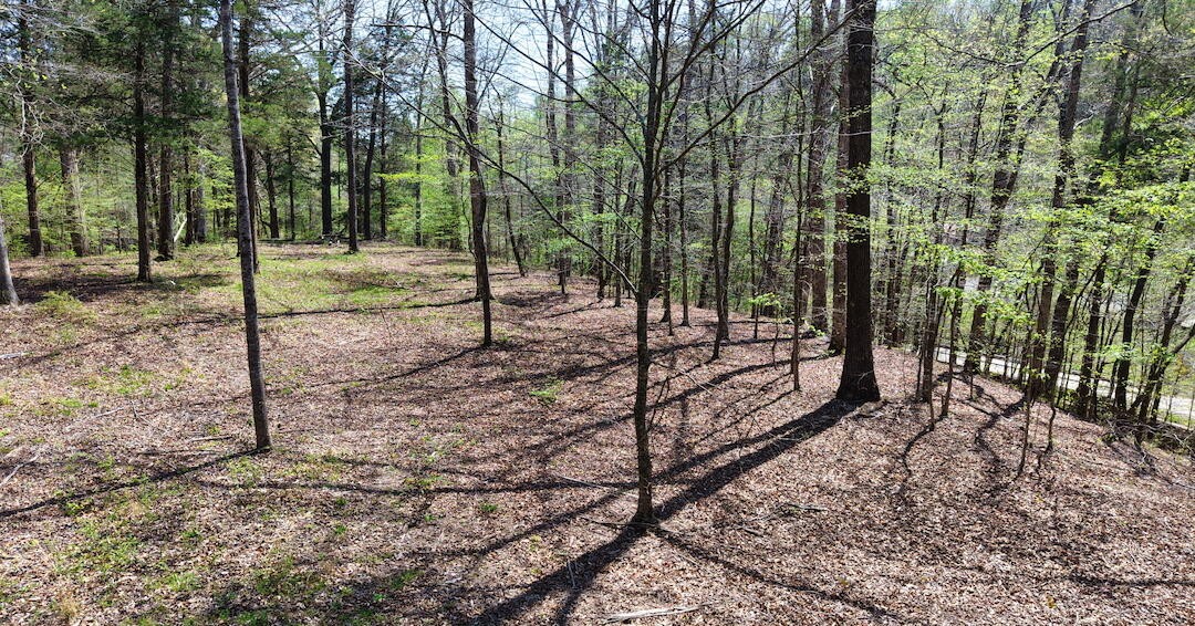 0 Brown Hollow Road Lyles, TN 37098 - Photo 19 of 24