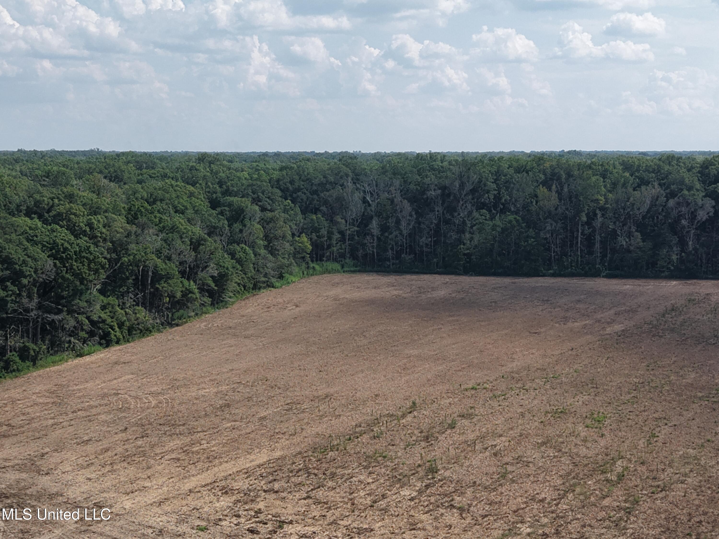 St Bayou Road Anguilla, MS 38721 - Photo 11 of 14 DJI_20250903150852_0034_D