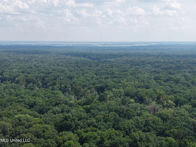 $594,000 | St Bayou Road, Anguilla, MS 38721