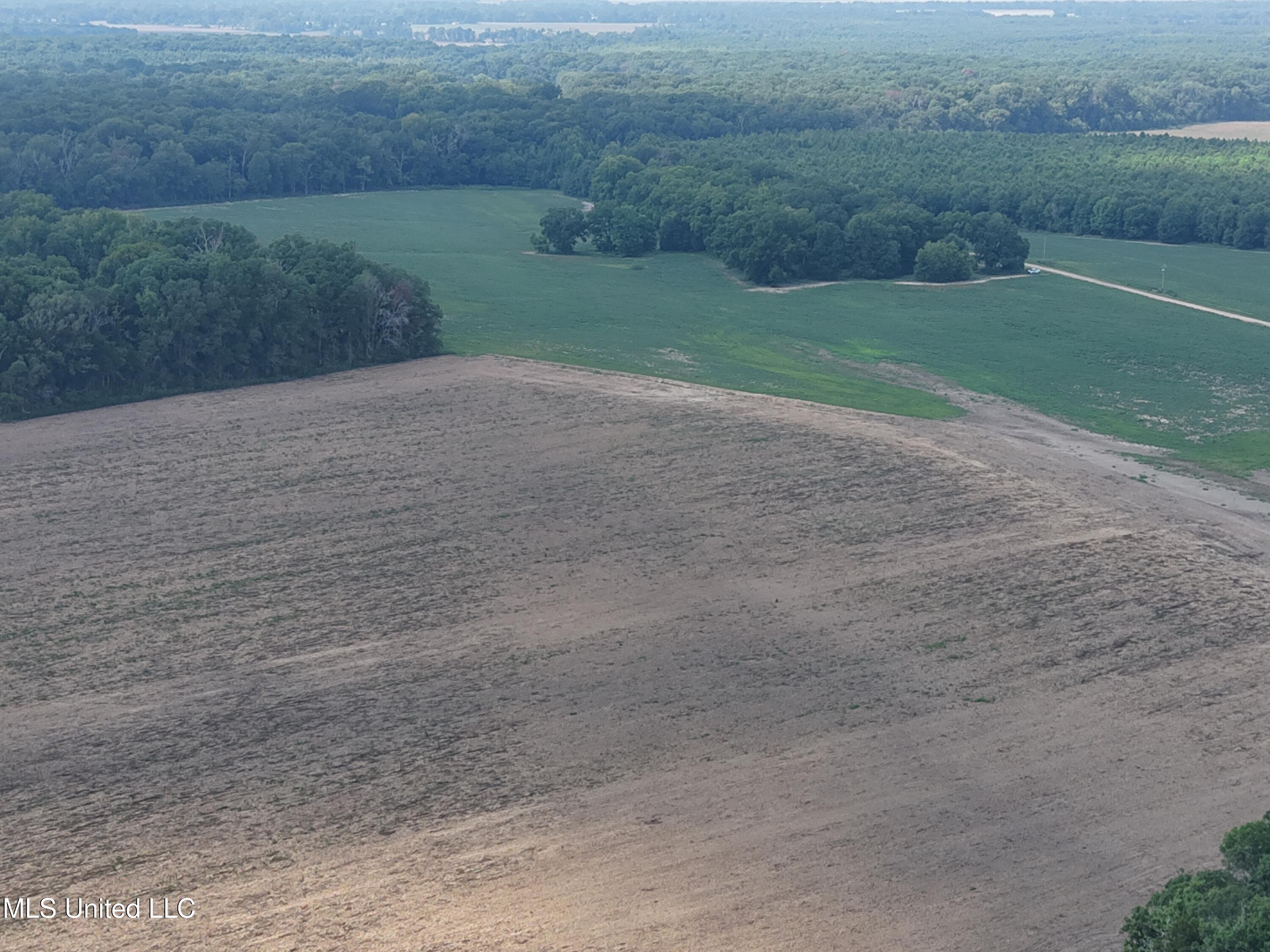 St Bayou Road Anguilla, MS 38721 - Photo 13 of 14 DJI_20250903151010_0039_D