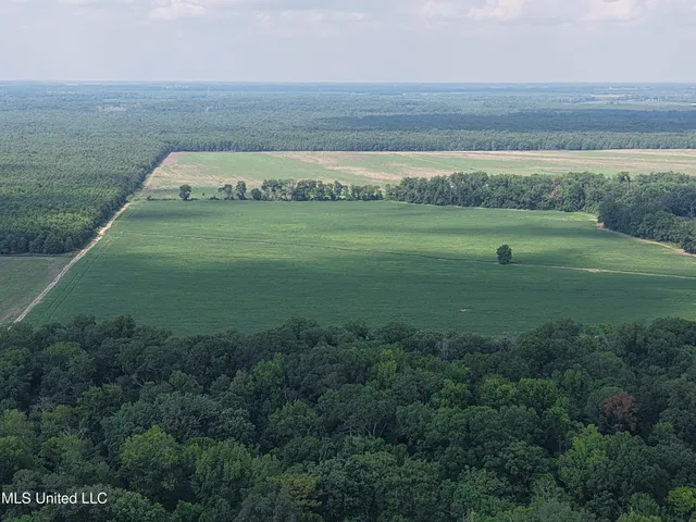 $594,000 | St Bayou Road, Anguilla, MS 38721