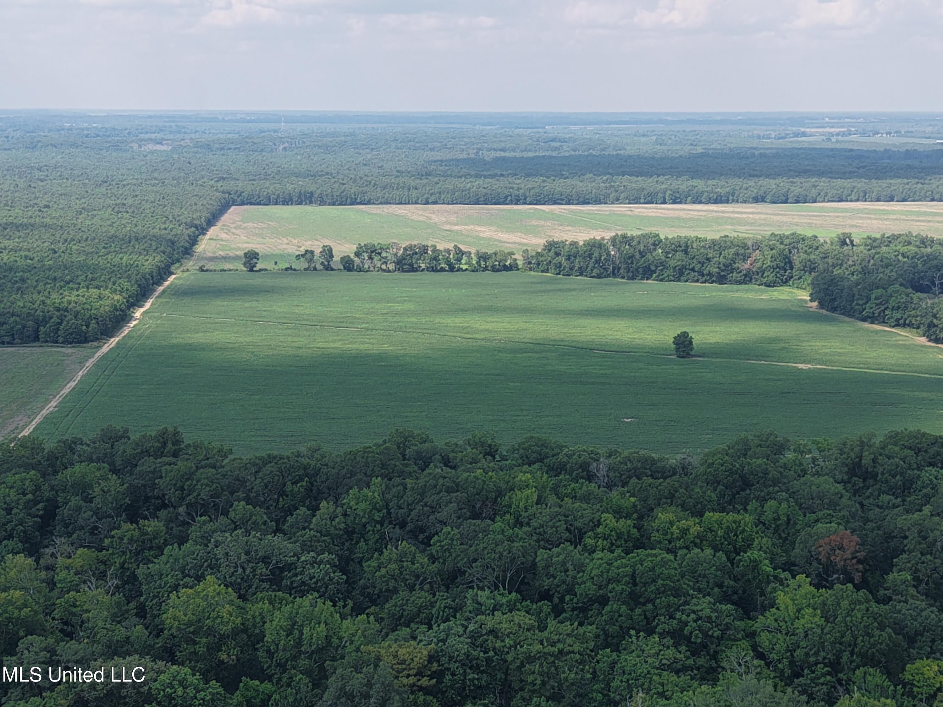 St Bayou Road Anguilla, MS 38721 - Photo 14 of 14 DJI_20250903151028_0040_D