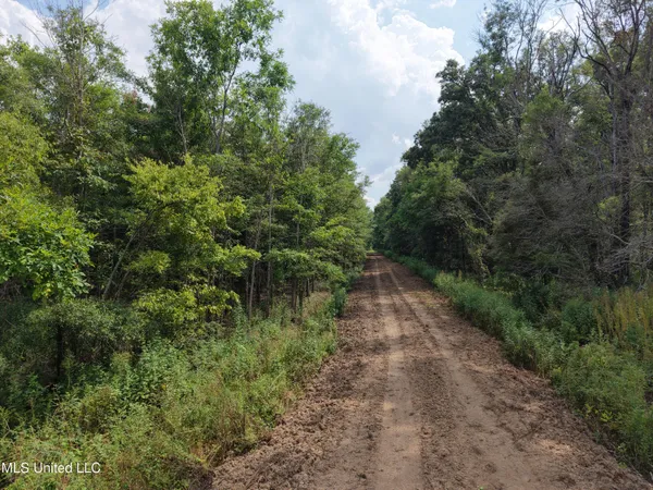 $594,000 | St Bayou Road, Anguilla, MS 38721