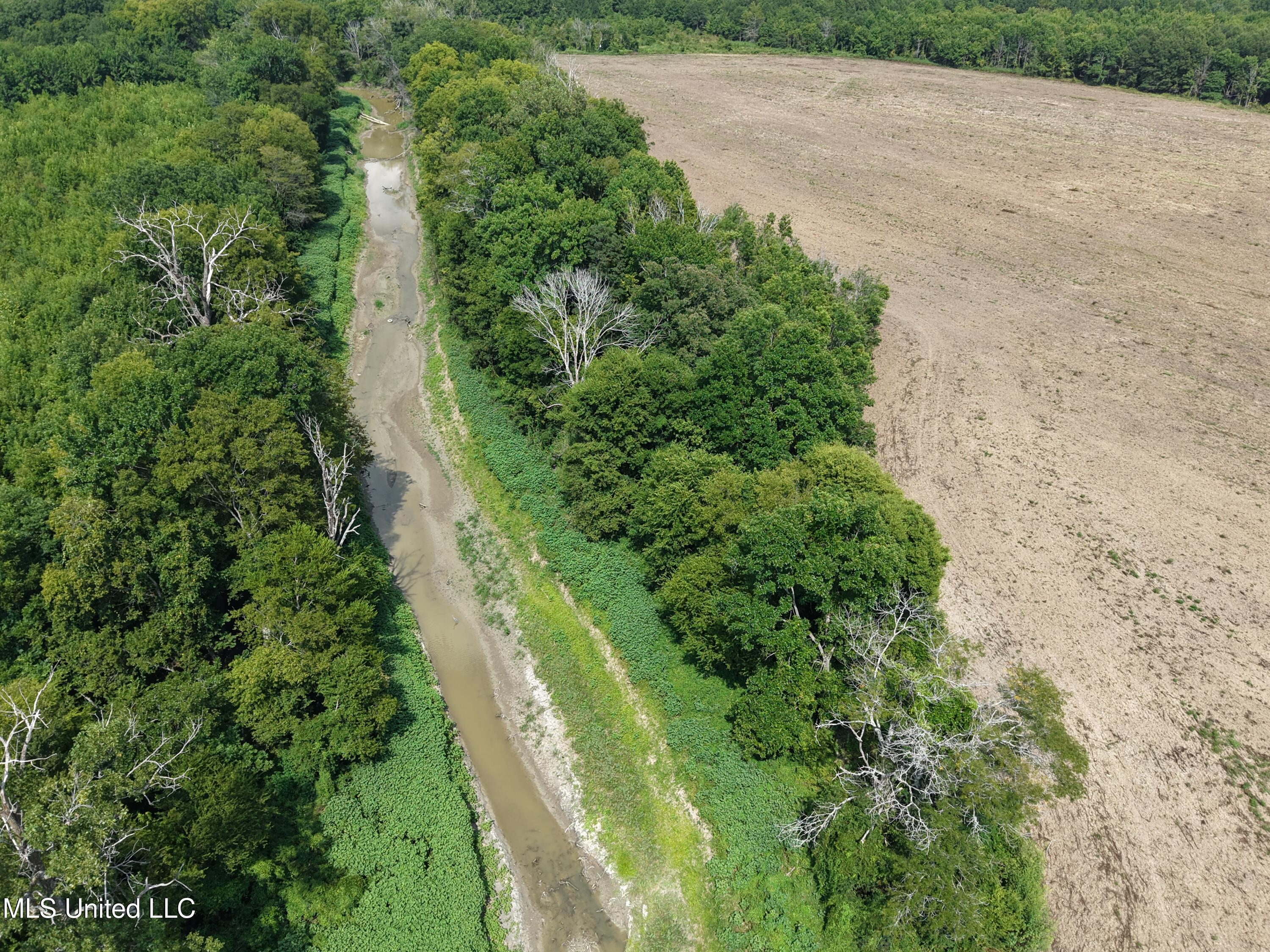 St Bayou Road Anguilla, MS 38721 - Photo 3 of 14 DJI_20250903145401_0009_D