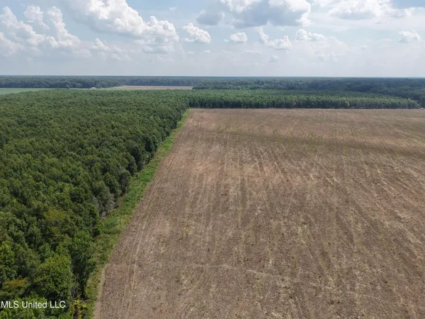$594,000 | St Bayou Road, Anguilla, MS 38721