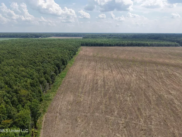 $594,000 | St Bayou Road, Anguilla, MS 38721